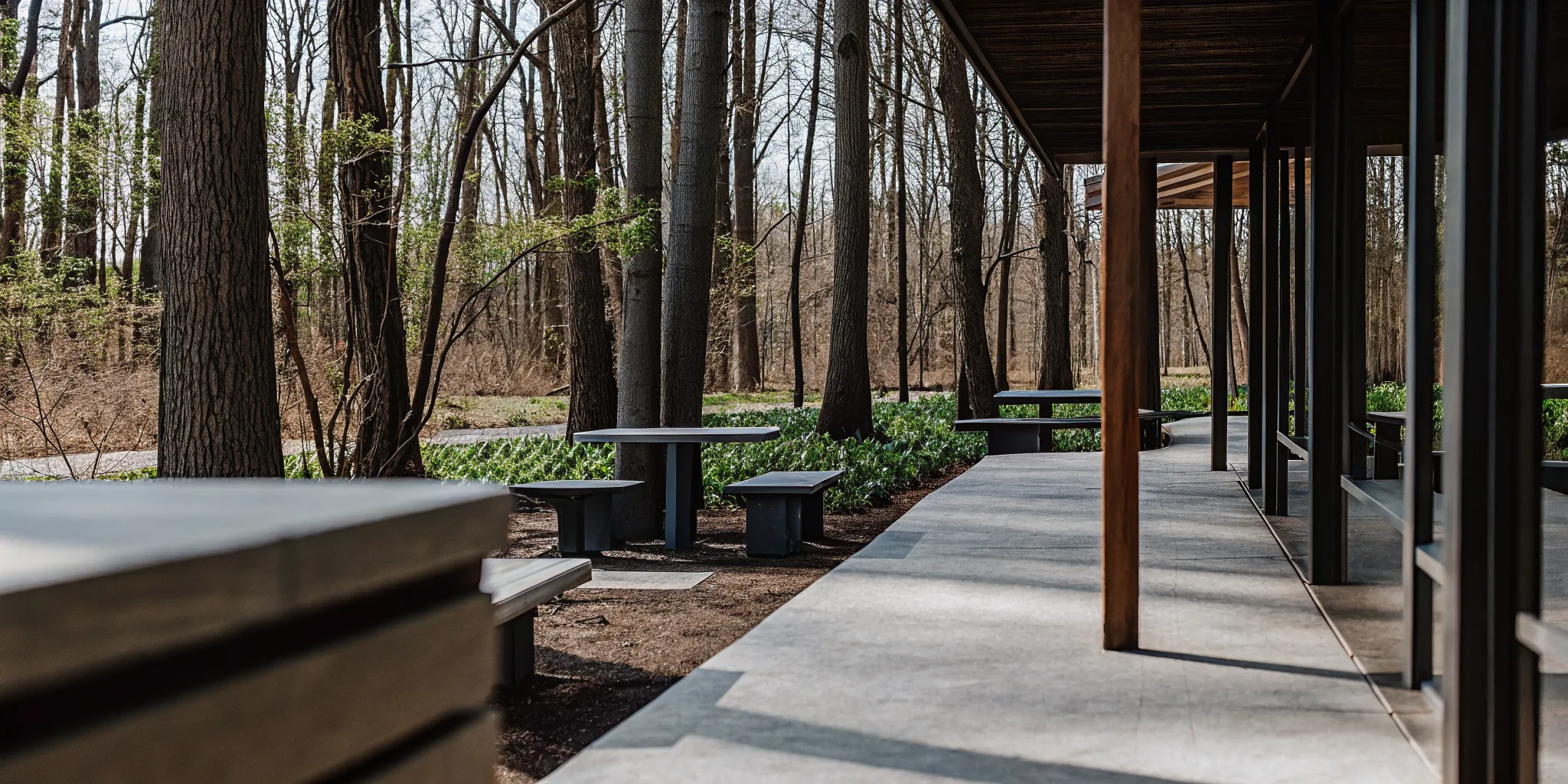 Peaceful outdoor seating area at an Ohio recovery center with trees and walking paths