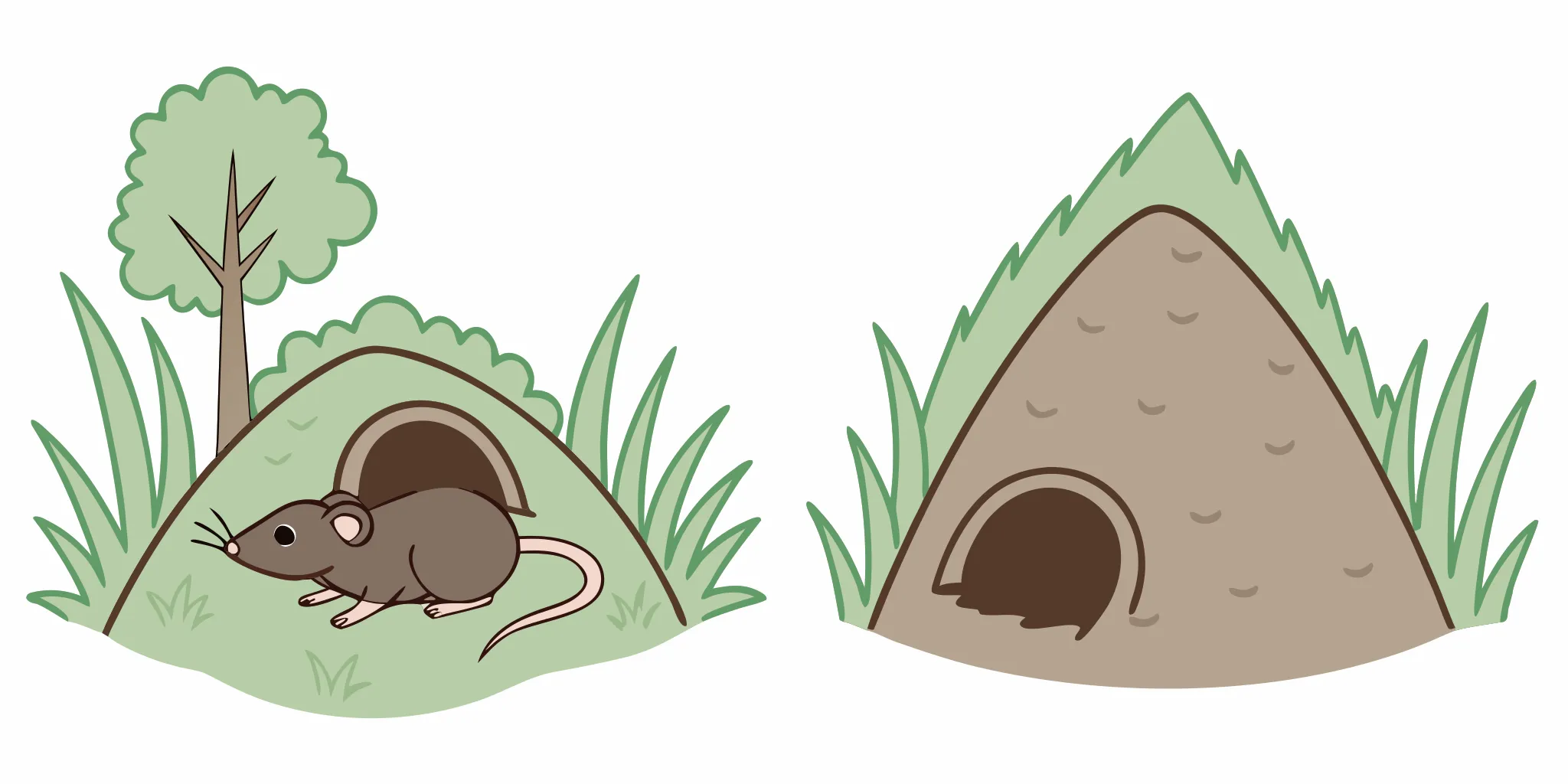 Cutaway comparison of gopher mounds vs mole mounds and their tunnel positions
