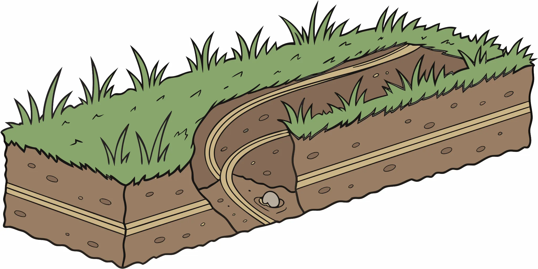 Cutaway showing how deep gopher tunnels are, from feeding runways to nesting chambers