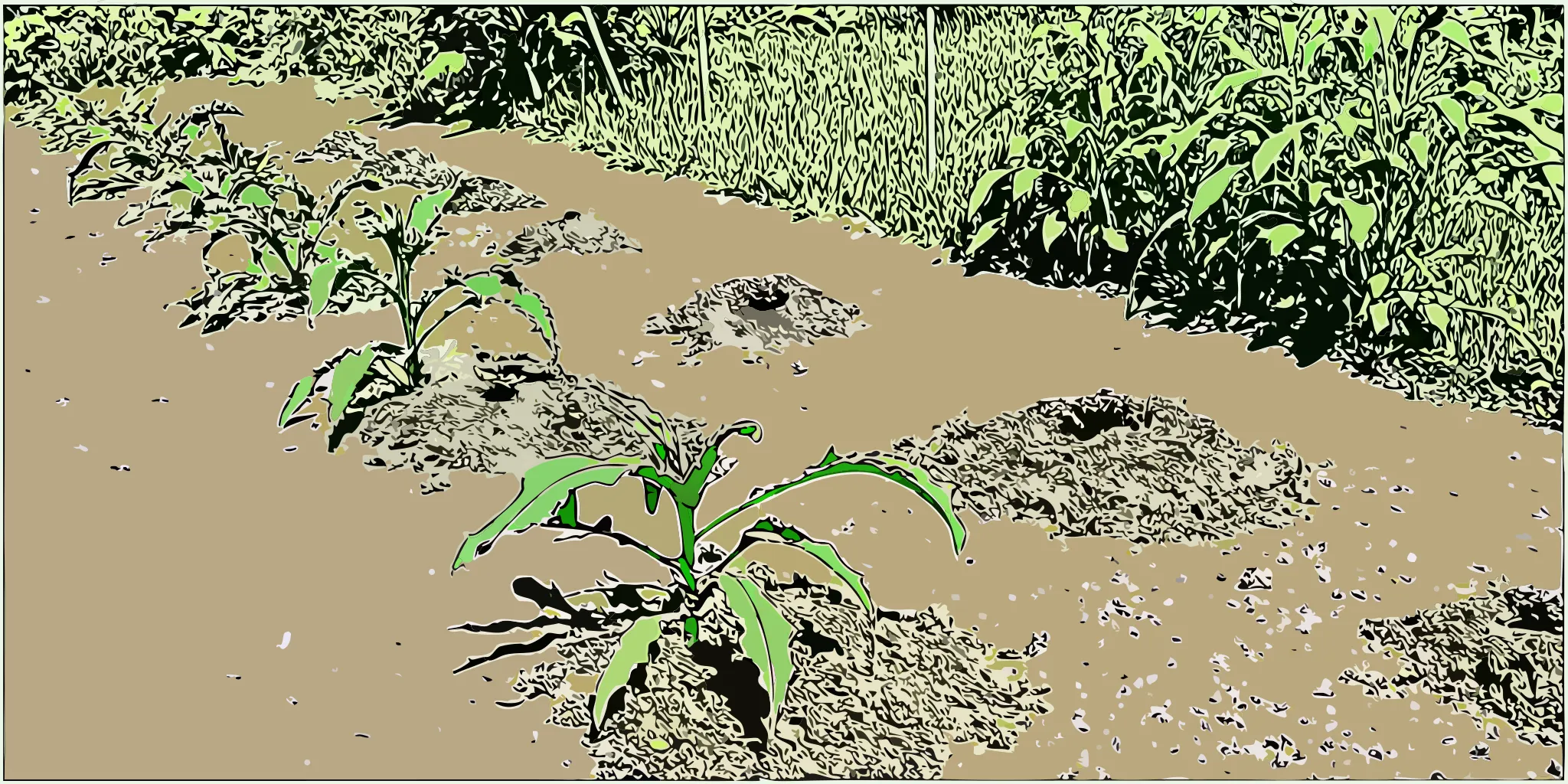 Gopher dirt mounds next to wilting garden plants showing underground pest damage