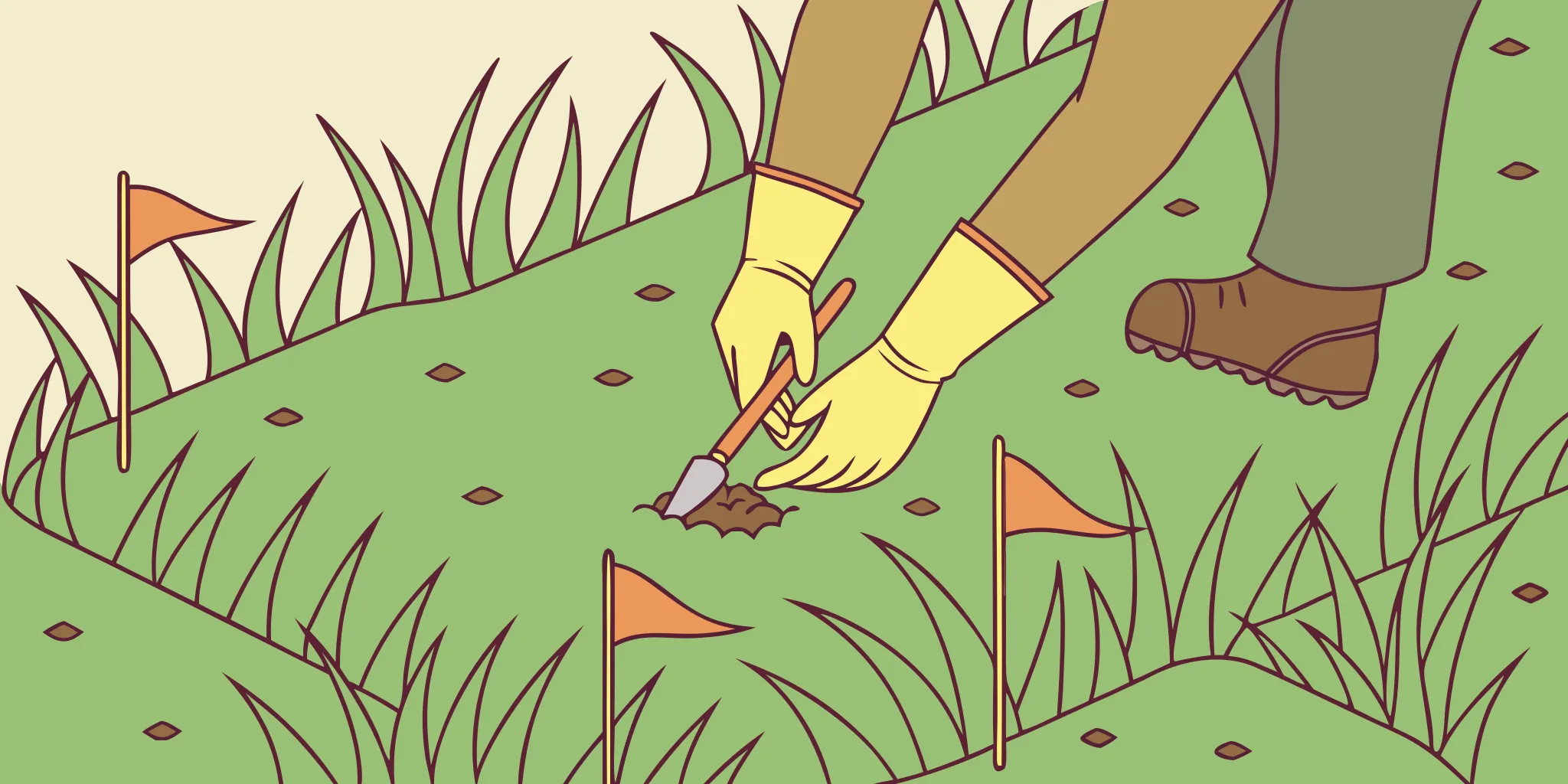 Groundskeeper marking an active mole runway for a large-property trap rotation plan