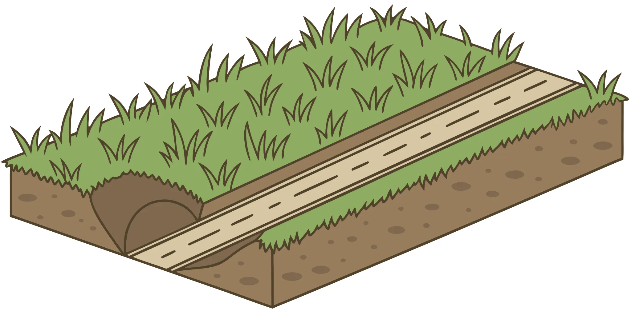 Active mole main runway beneath a lawn