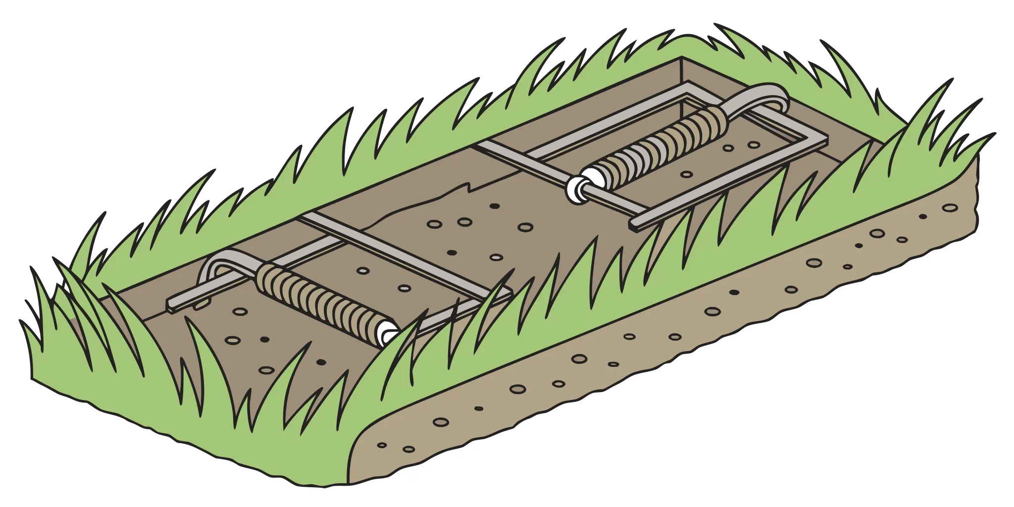 Victor mole trap and Cinch tunnel trap design comparison