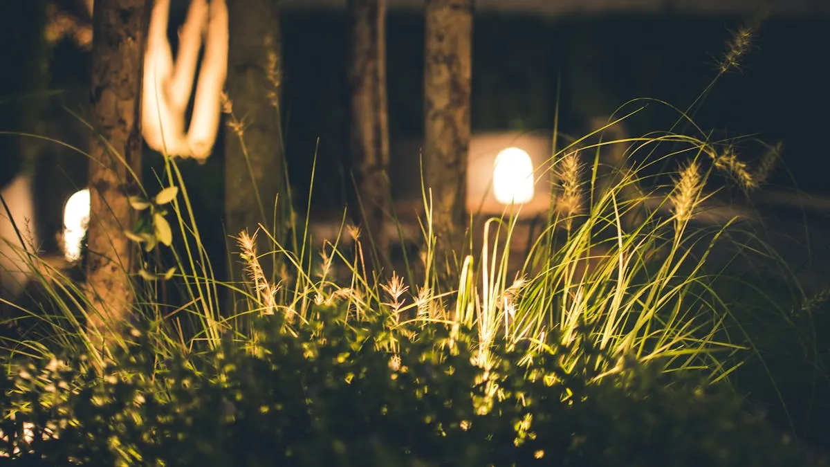Landscape Lighting Design and Installation in the Brandywine Valley