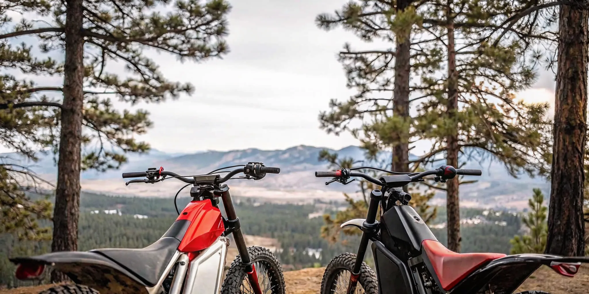 Two electric dirt bikes parked side by side on a forest trail