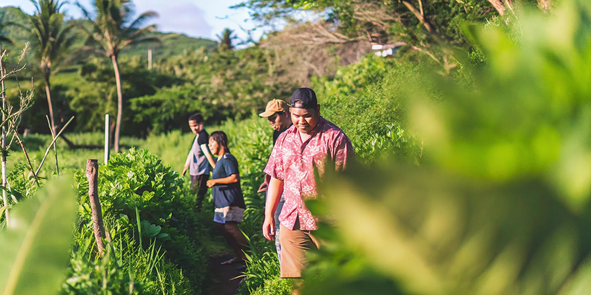 Supportive sober peer group connecting through an outdoor activity