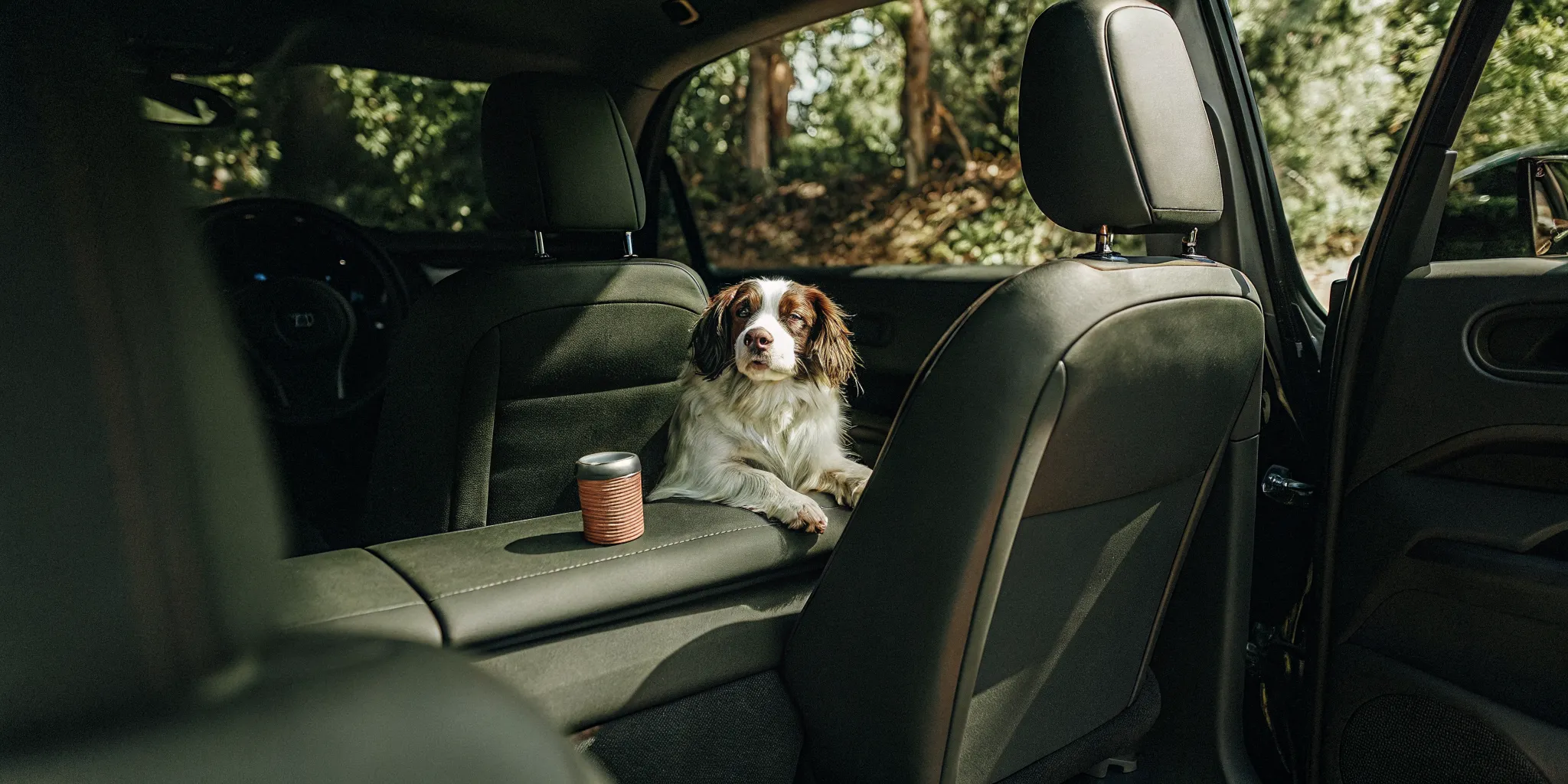 Dog resting in a modern car with a subtle car fragrance diffuser