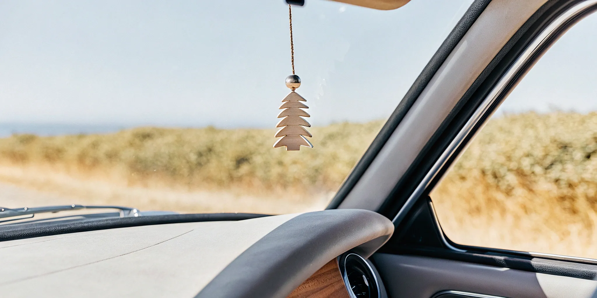 What's the Most Natural Car Air Freshener?