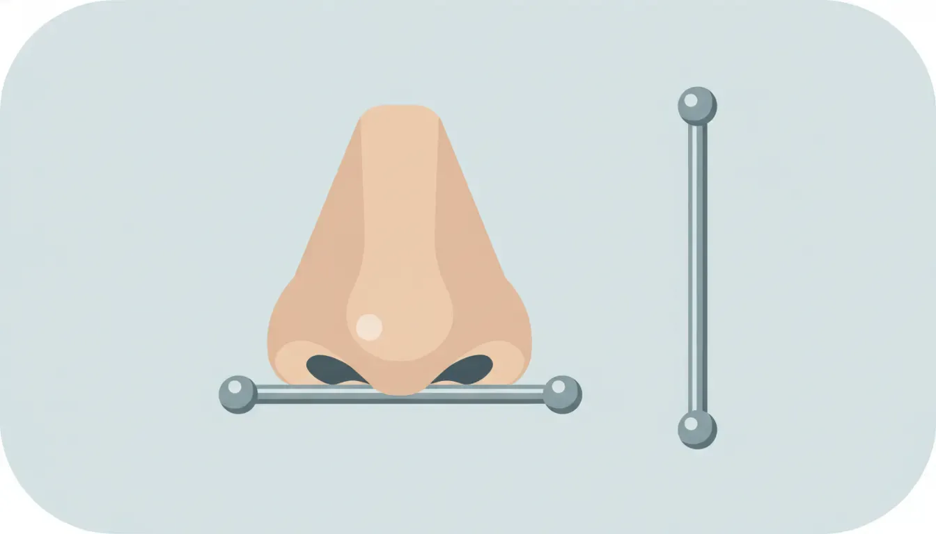 Flat vector illustration showing a nasallang barbell aligned across both nostrils and a separate straight barbell for fit planning