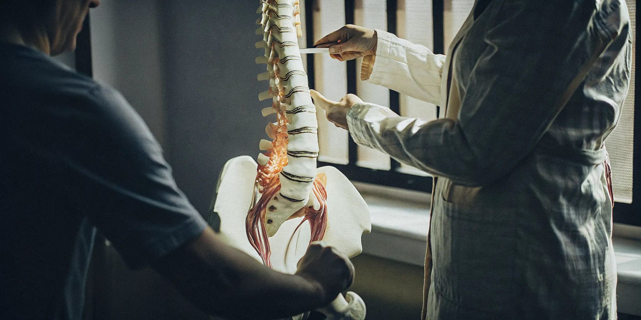 Anatomical illustration of lumbar spine showing vertebrae, discs, and nerve roots