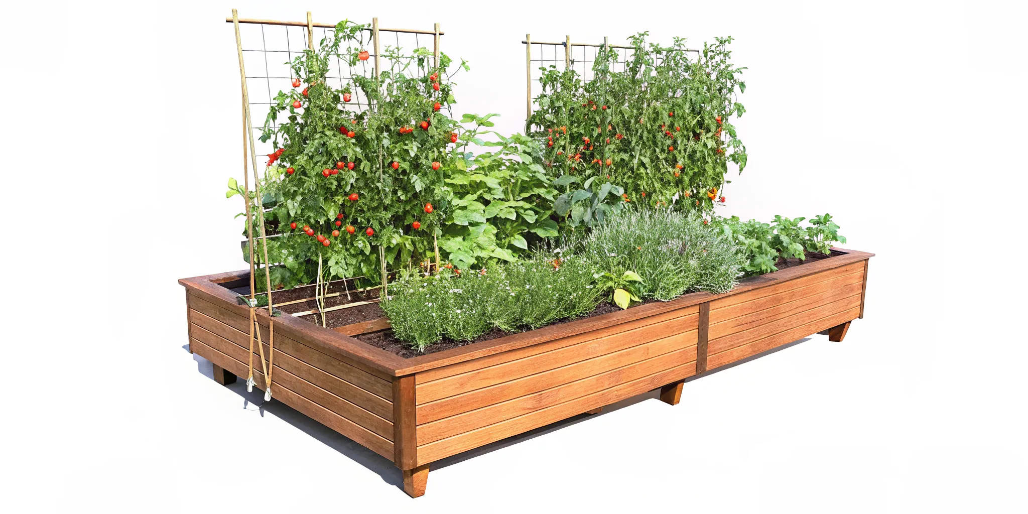 Self-watering elevated planter on a deck with trellis and thriving plants