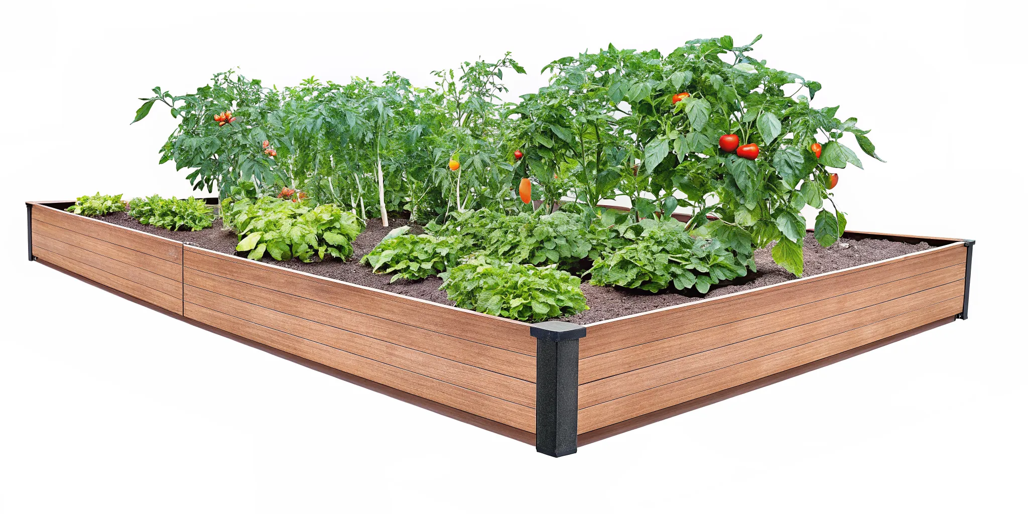 A modular composite raised garden bed with thriving vegetables in a backyard layout