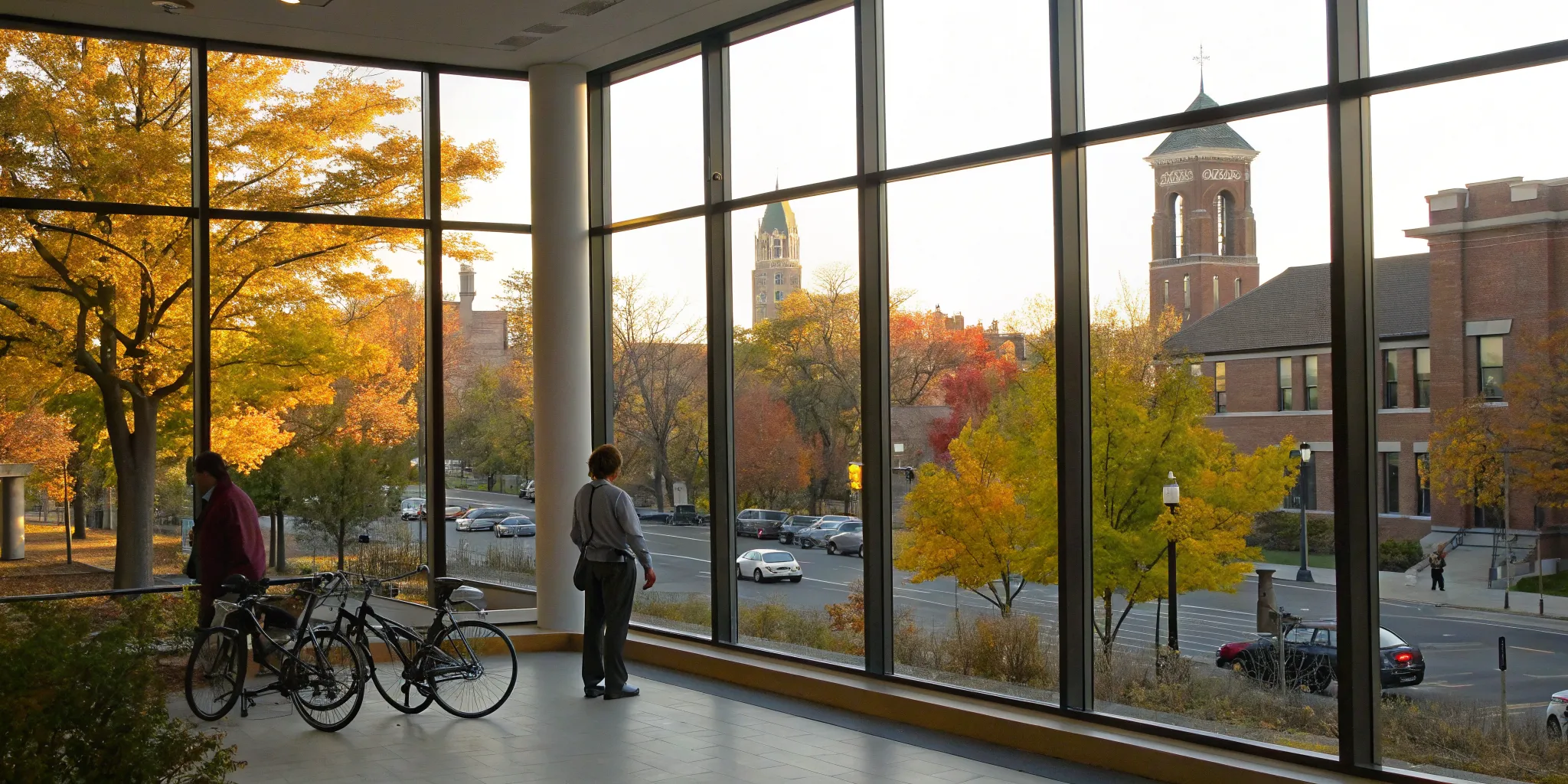 An upper cervical chiropractor in Ann Arbor providing care for dysautonomia.