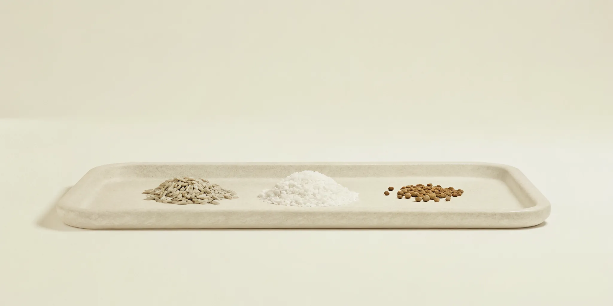 Fresh organic sage leaves, ambrette seeds, and coarse grey sea salt on a minimalist light stone tray