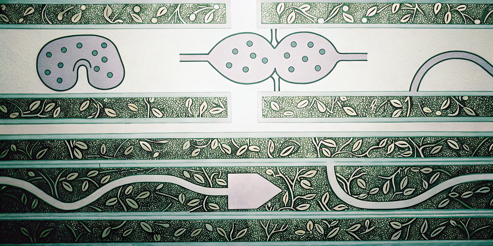 Conceptual illustration of the body's detoxification pathways supporting ovarian health through liver, gut, and cellular elimination processes