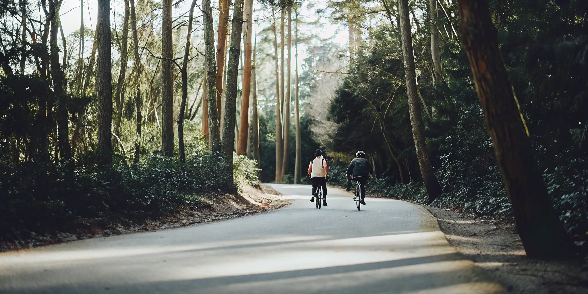 A beautiful paved trail winding through a dense forest of ancient tall cedar trees in Whistler Valley