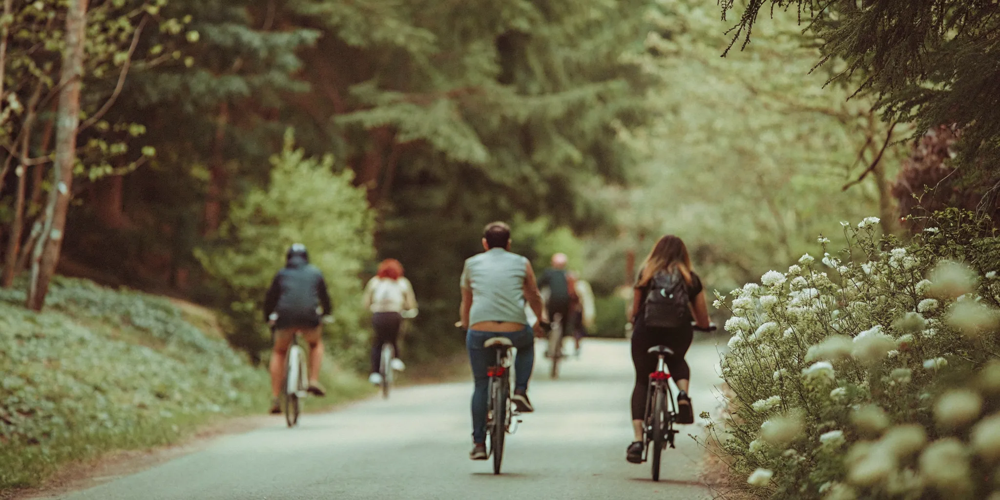 Group of riders on fat tire eBikes riding along the paved Valley Trail in Whistler surrounded by tall cedar trees and summer wildflowers