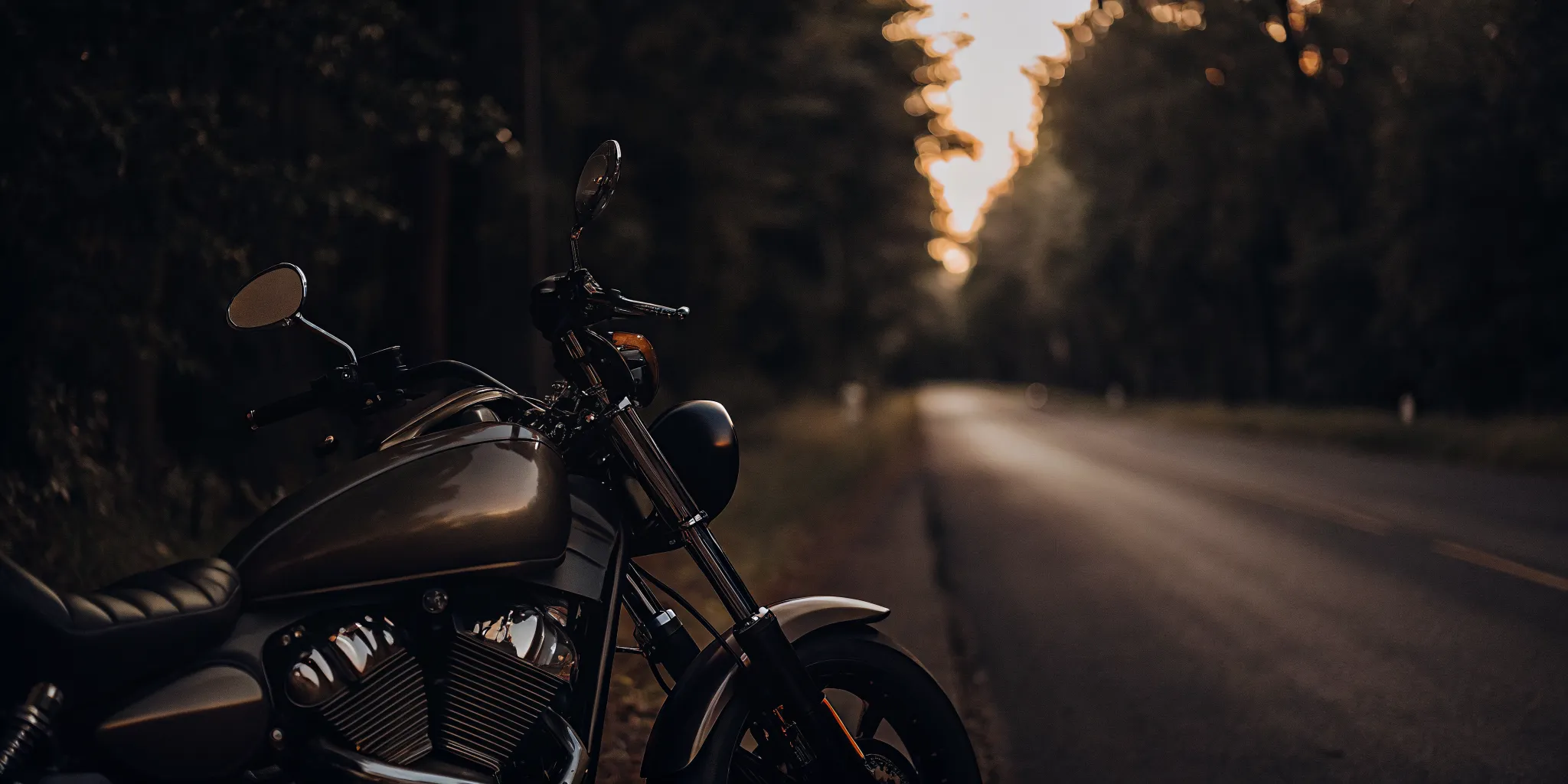 A modern cruiser motorcycle parked along a scenic South Carolina highway