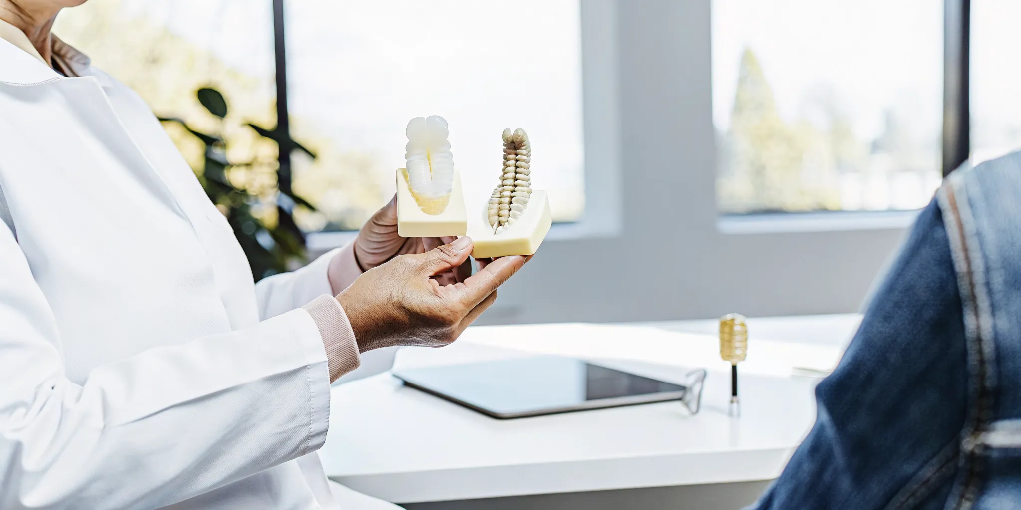 Dentist comparing a removable denture and dental implant model with a patient