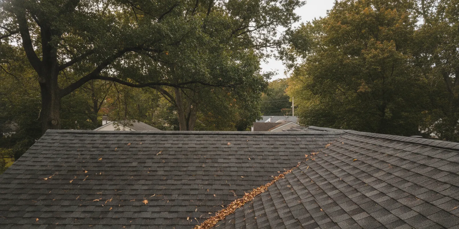 How to Choose Asphalt Shingles for a New Jersey Roof
