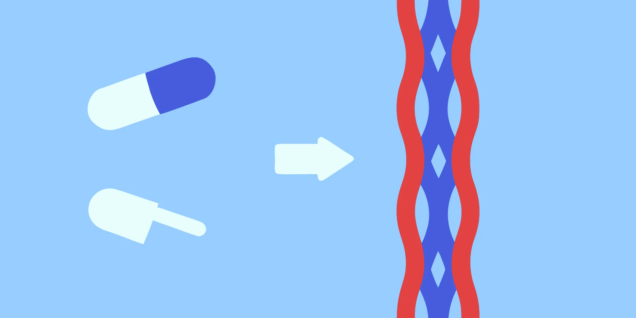 Simple visual showing leucine converting to HMB for muscle support after 60