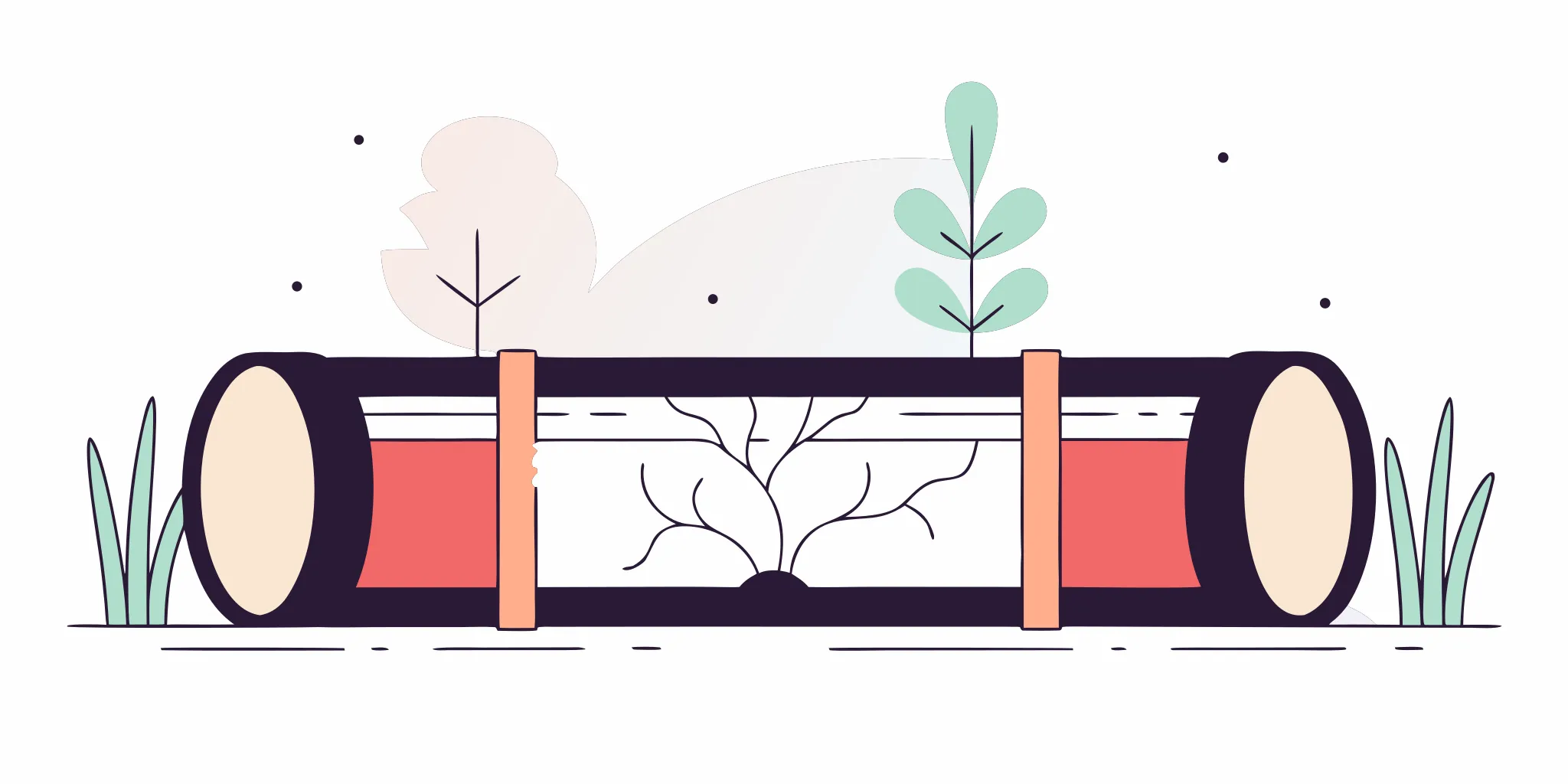 Cross-section illustration of tree roots entering a sewer pipe through a cracked joint