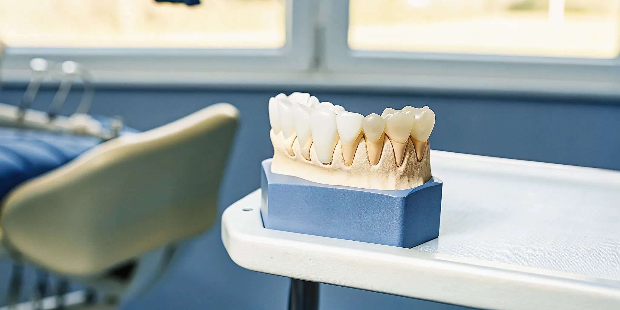 Dental crown and tooth model used when explaining care after a root canal
