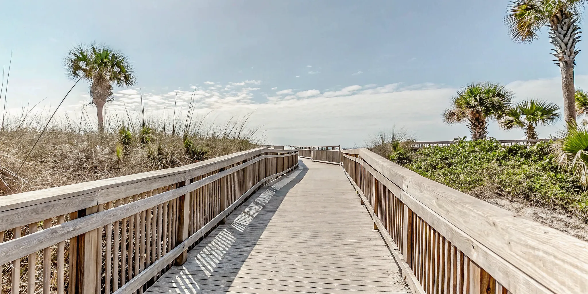 Quiet nature trail boardwalk surrounded by lush green trees and foliage in Panama City Beach