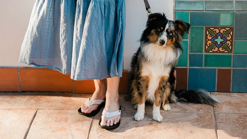 Grounding sandals as part of an outdoor daily wellness routine