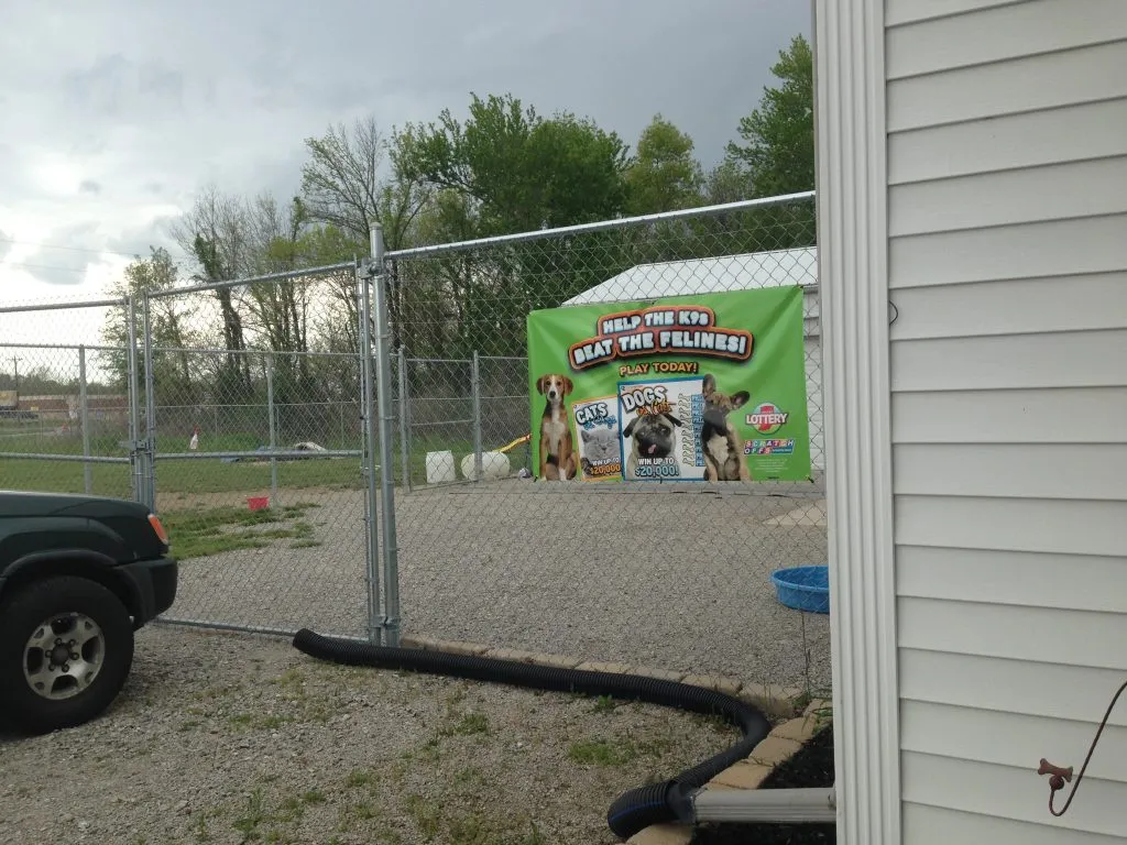 Pet store advertising placement in a local pet venue