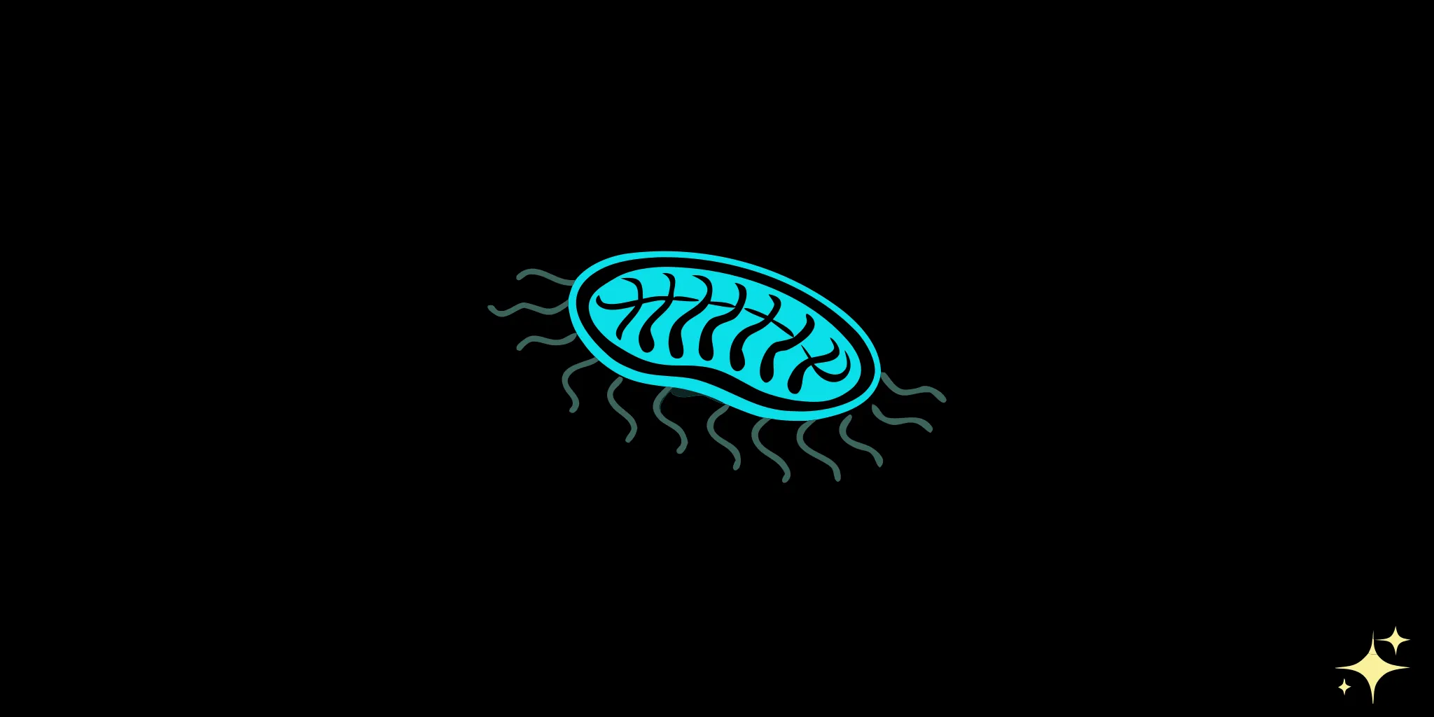 Methylene blue benefits and mitochondrial electron flow