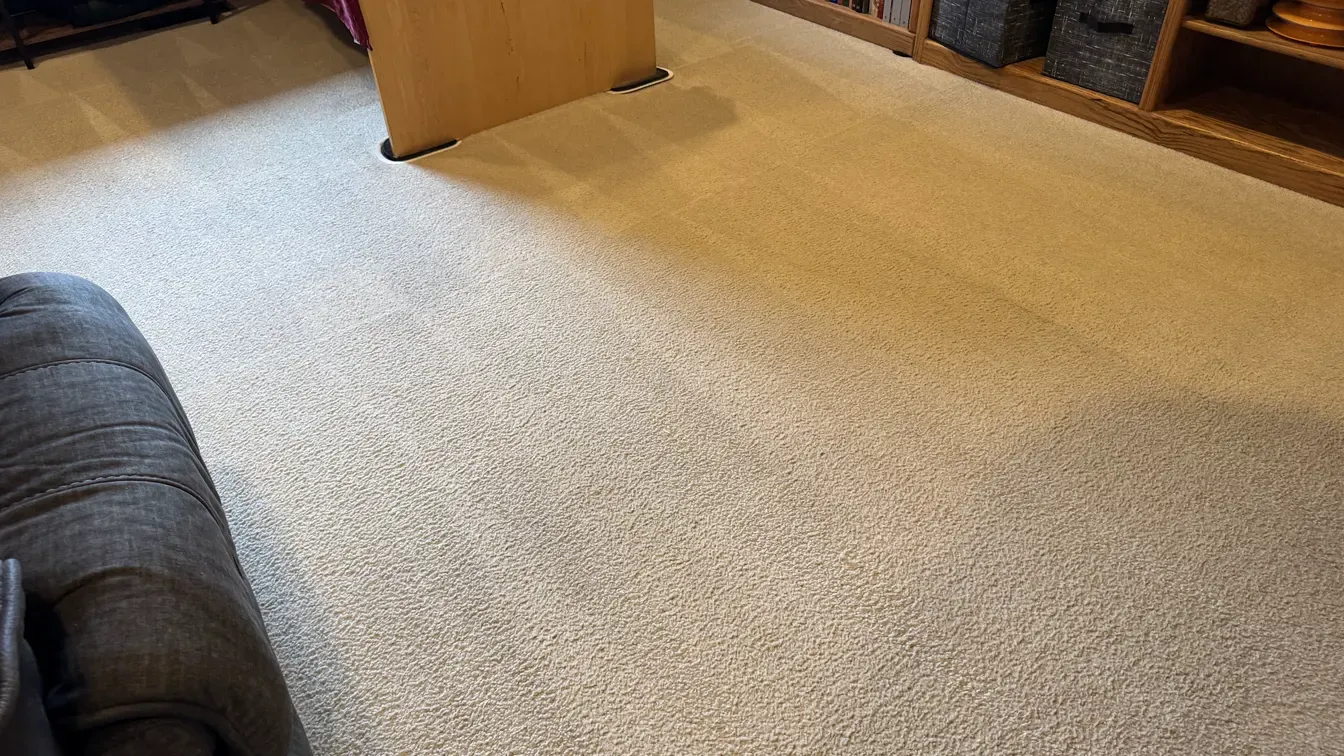 Carpet cleaning technician inspecting carpet fibers and equipment