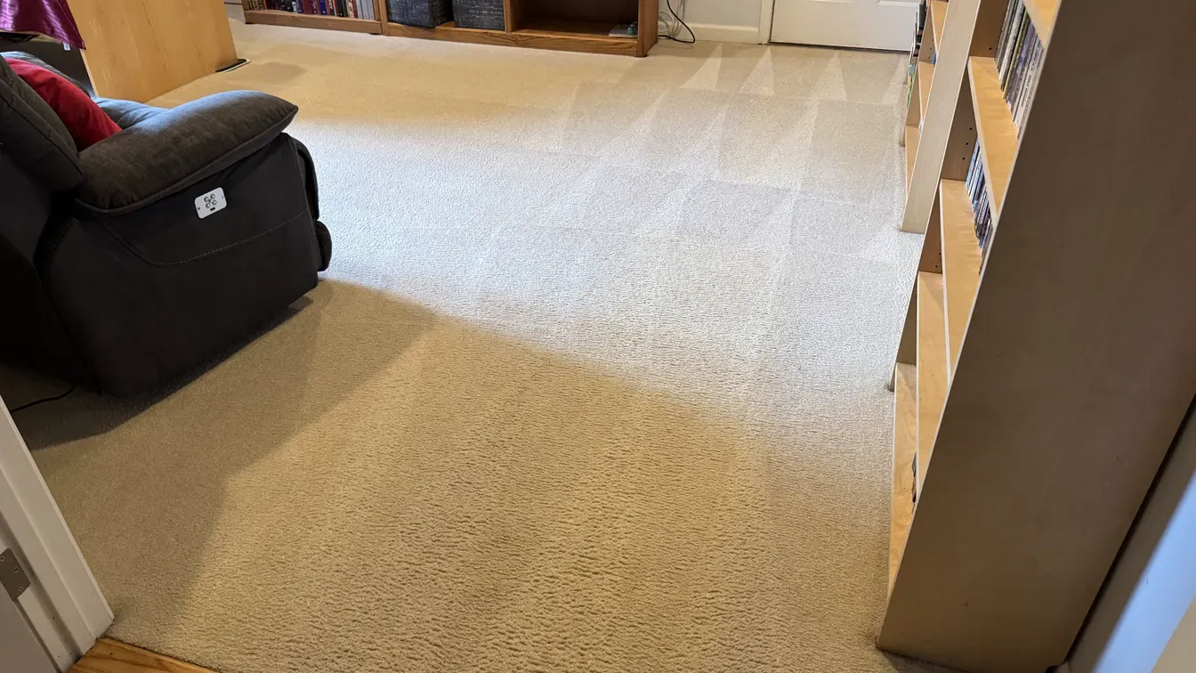 Professional carpet cleaning assessment in a residential room