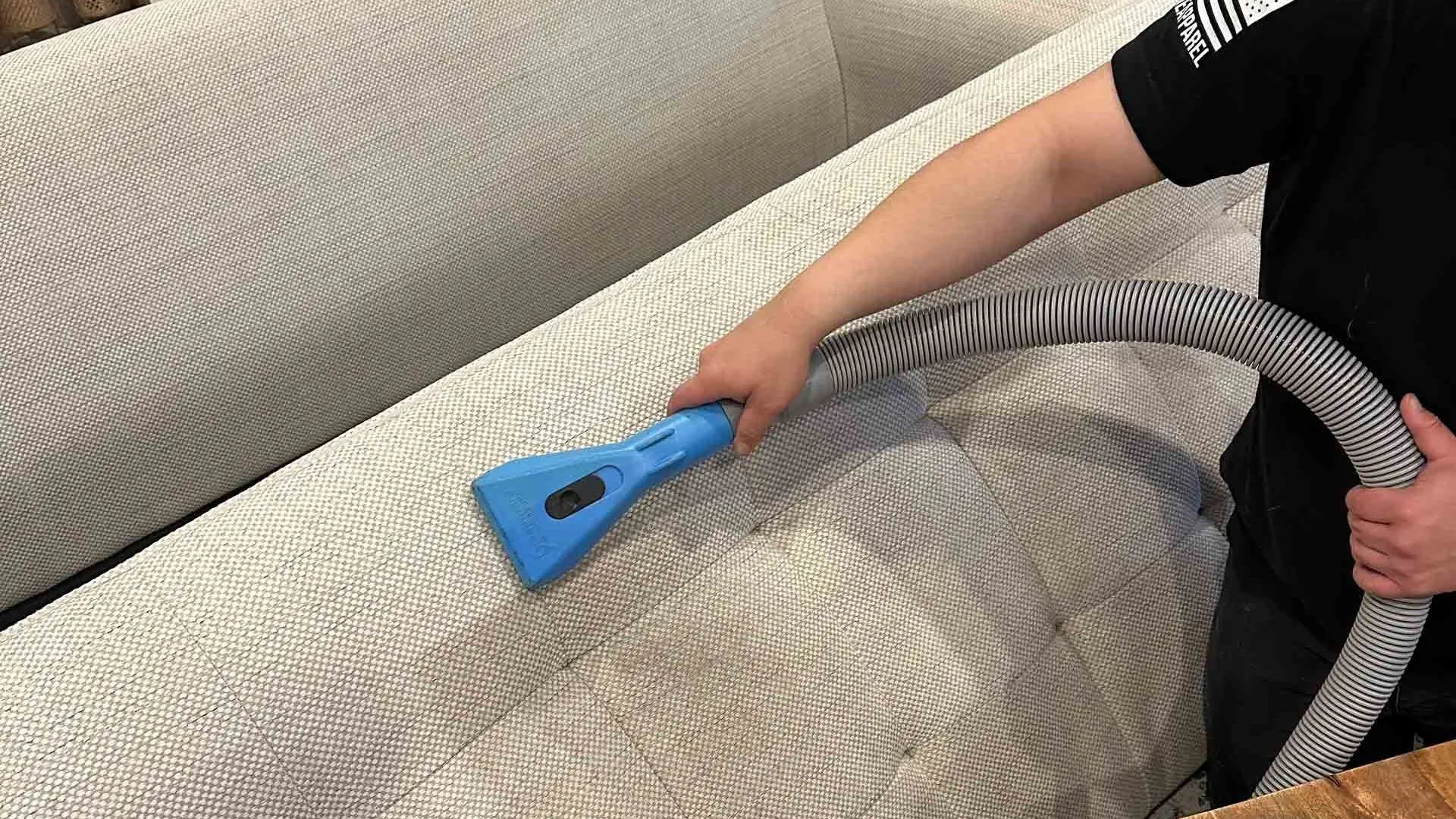 Professional upholstery cleaning for a pet-friendly Covington home