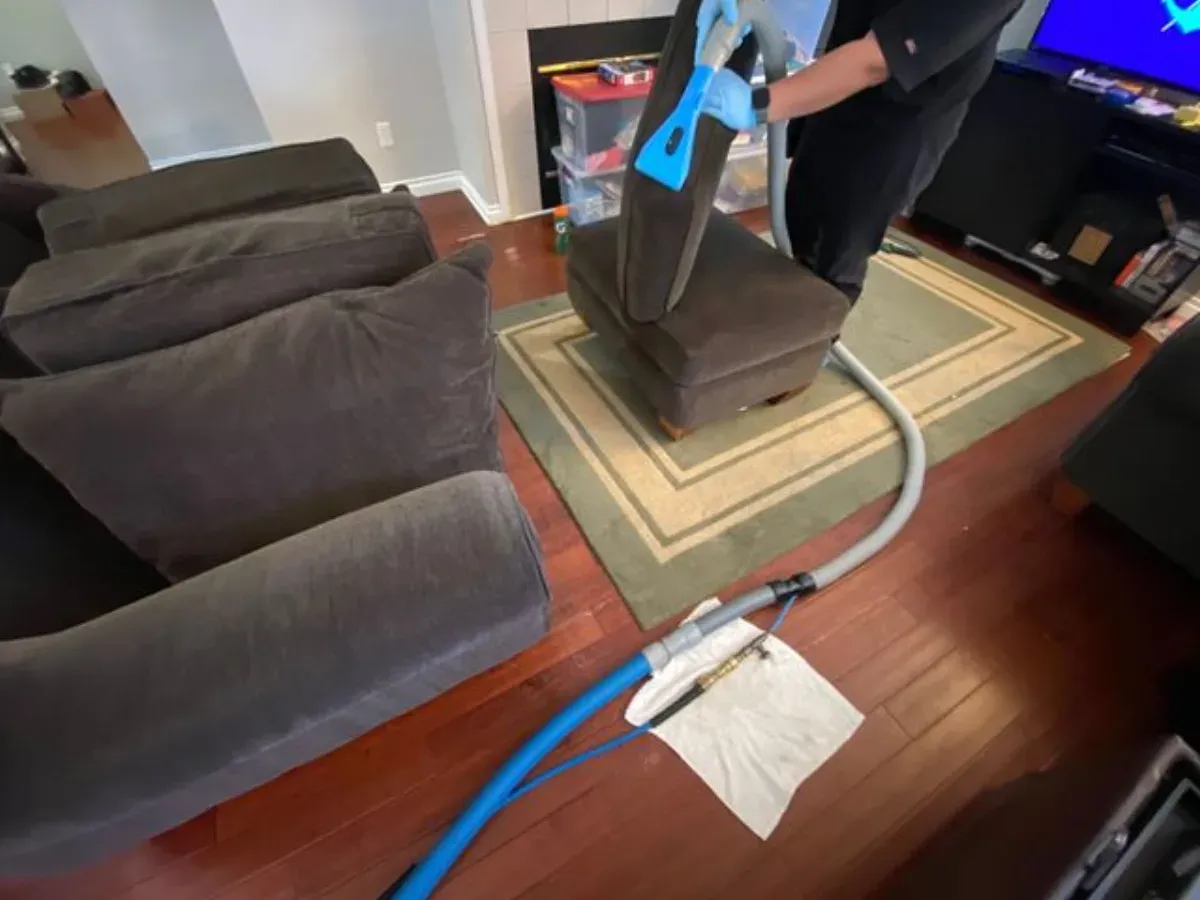 Technician cleaning upholstered chairs and a sofa in a Washington home