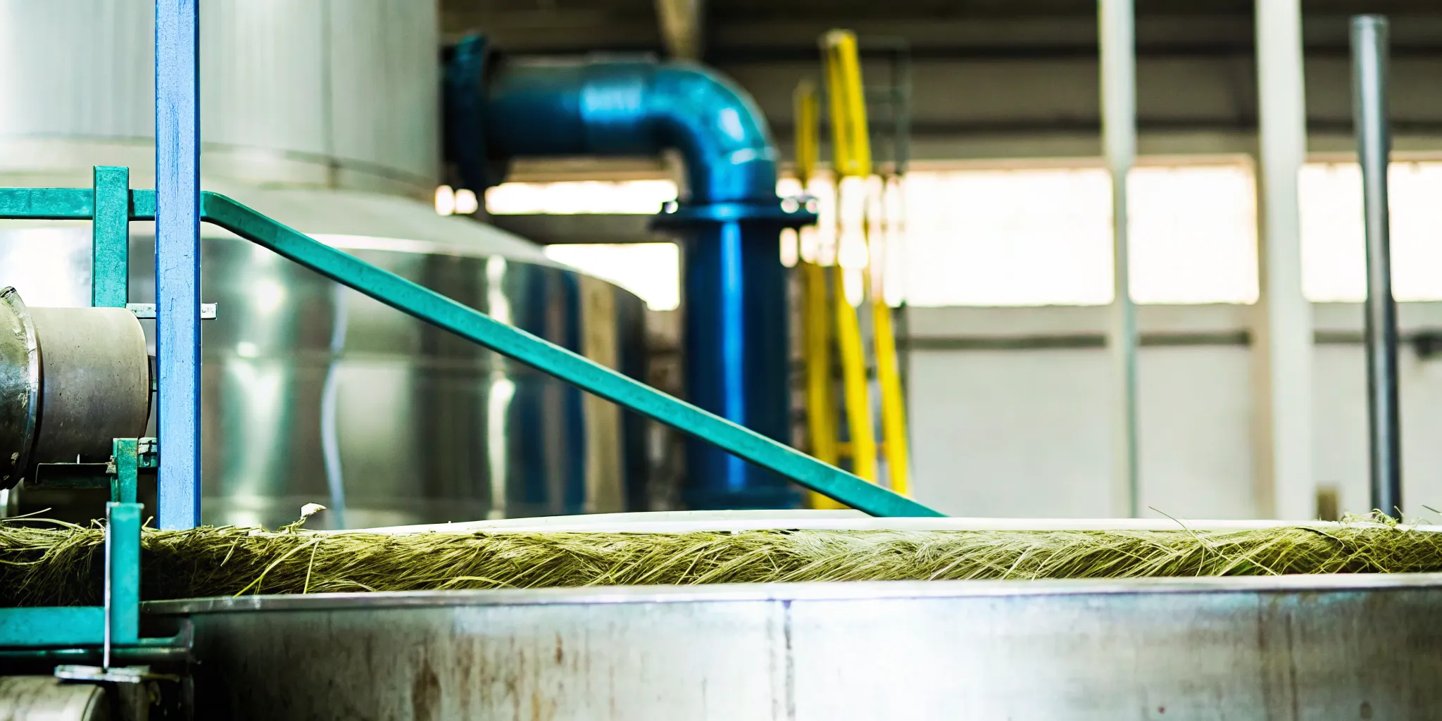 Blue Weber agave fibers moving through diffuser tequila extraction equipment