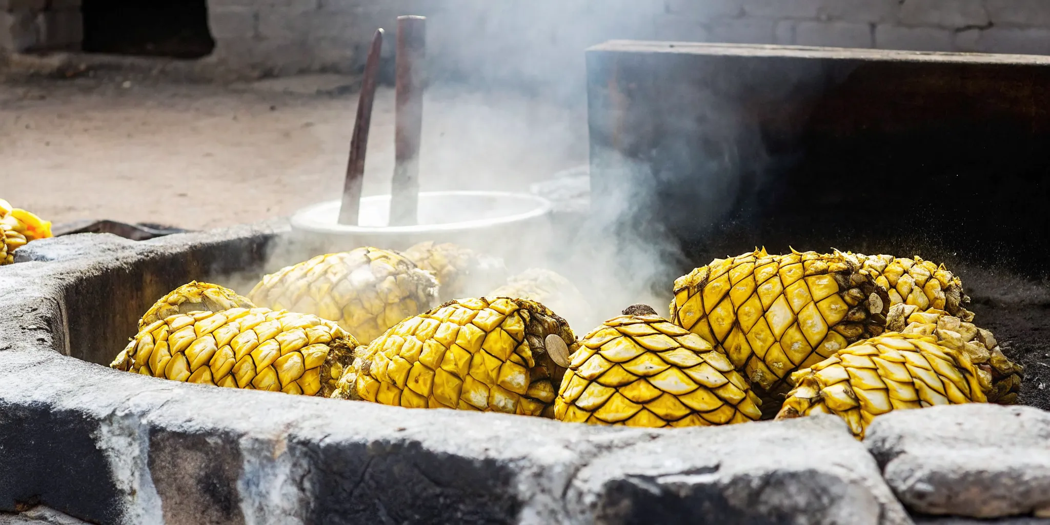 Traditional earthen roasting pit with agave hearts for mezcal production