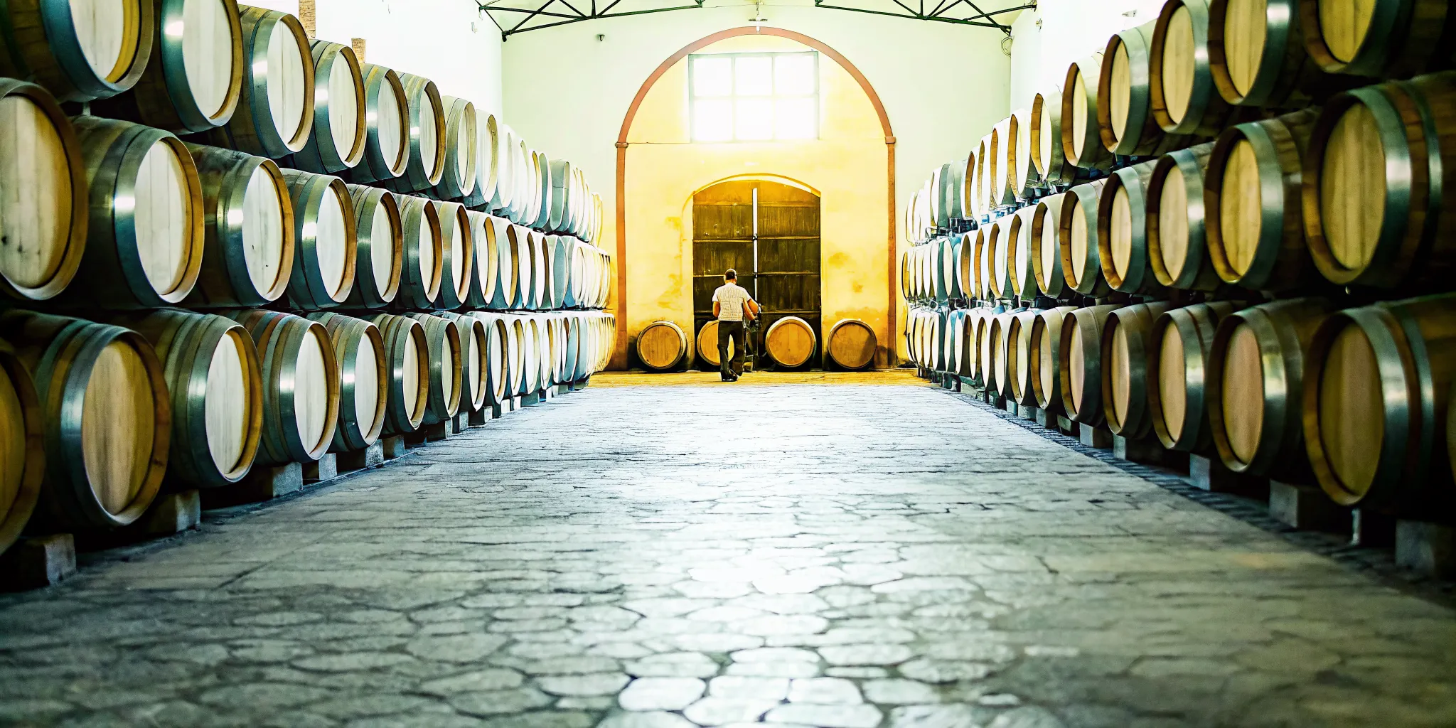 Rows of oak barrels in a Jalisco tequila aging warehouse with warm amber lighting