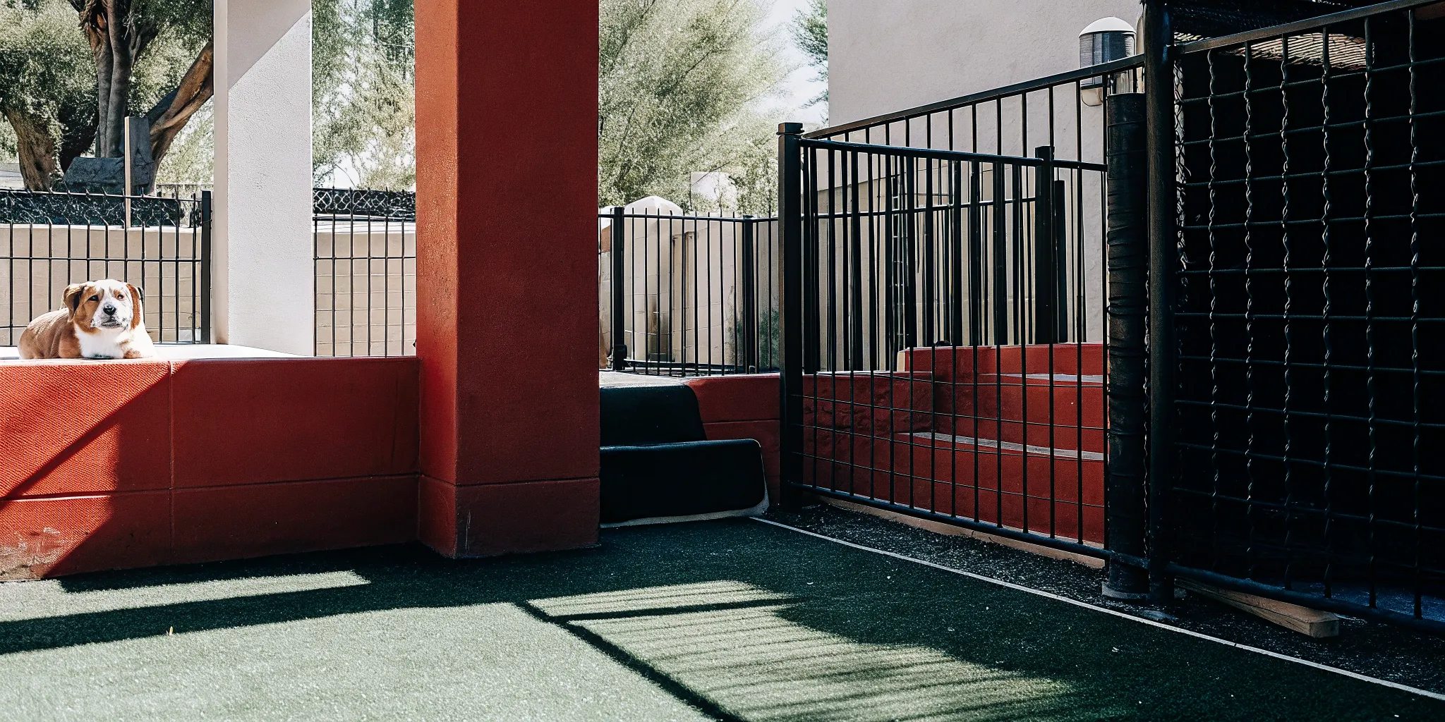 Refreshed Las Vegas backyard with artificial turf and a relaxed dog resting after a one-time cleanup reset