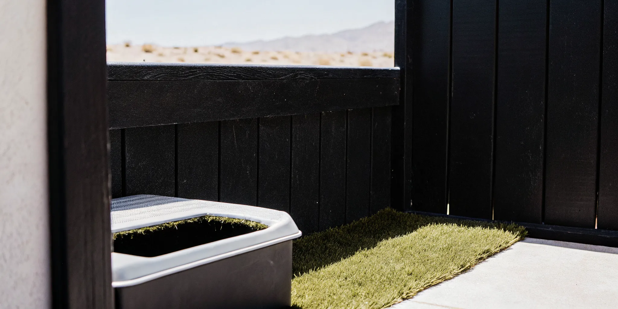 Well-maintained artificial grass lawn and clean outdoor space at a Las Vegas home