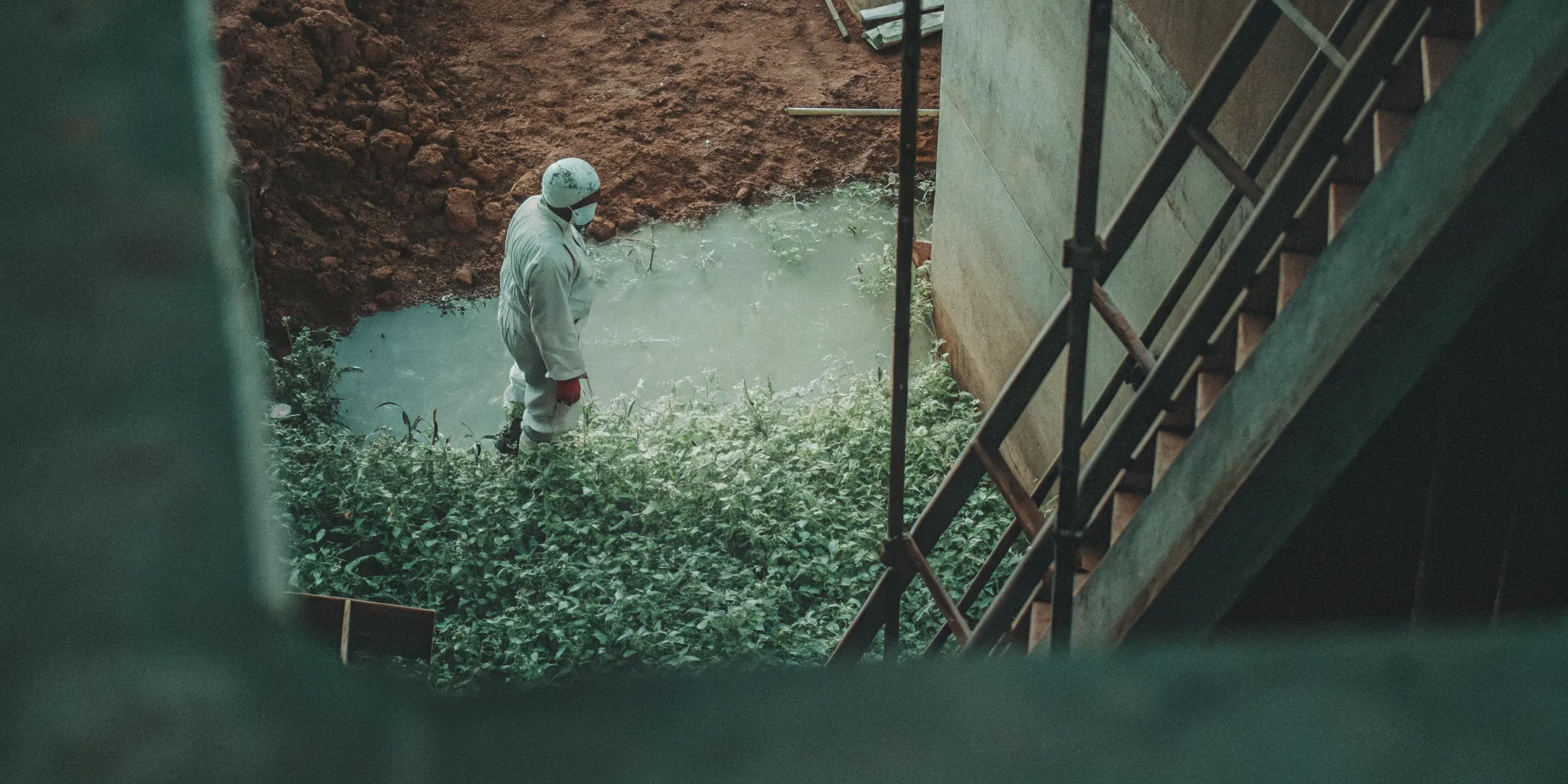 Environmental scientist inspecting wetland vegetation and soil indicators at a development site