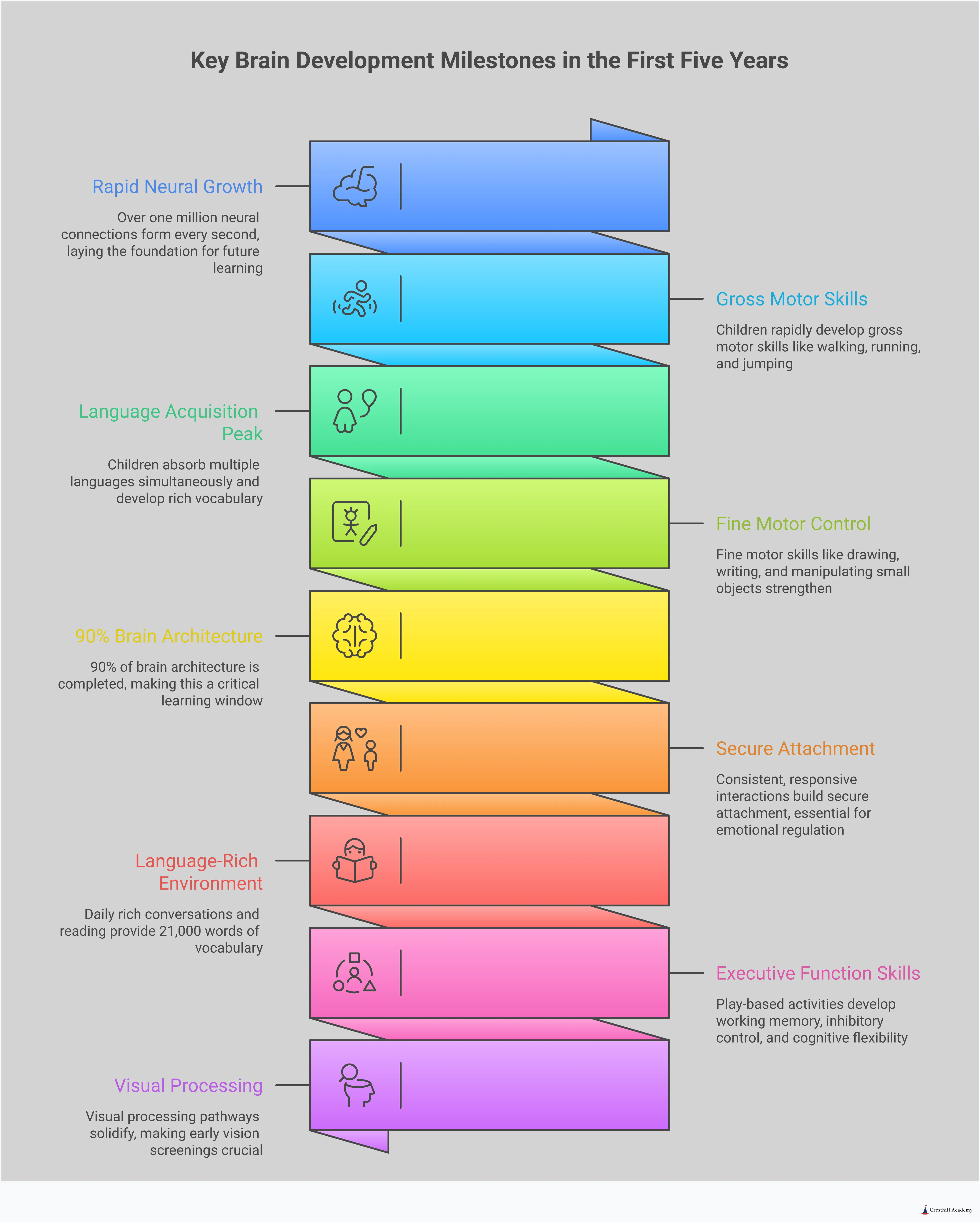 Comprehensive infographic showing brain development milestones in the first five years, featuring neural connection statistics, attachment building strategies, language development techniques, executive function activities, and quality program selection criteria. Visual elements include brain development timelines, parent-child interaction examples, daily routine schedules, and early education classroom layouts designed to support optimal learning during critical developmental windows.