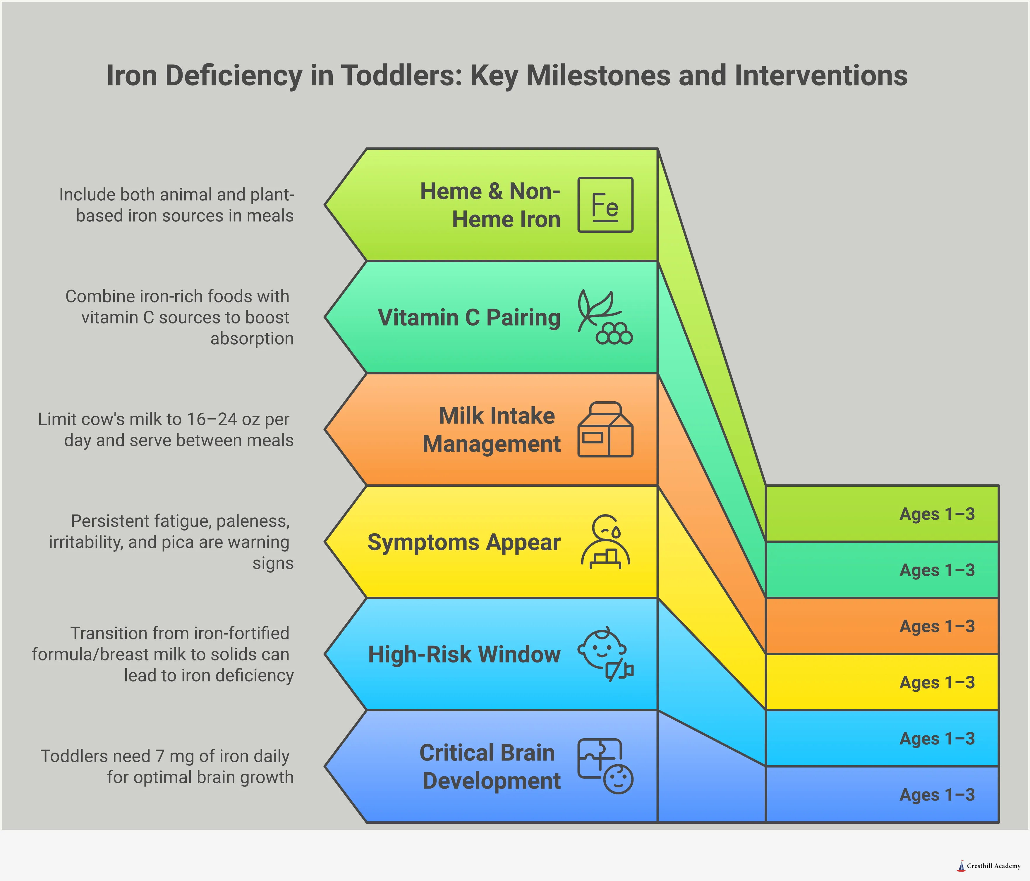 Iron Deficiency in Toddlers: Signs, Foods & Fixes Infographic titled 'Iron Deficiency in Toddlers: Signs, Foods and Fixes' with five sections covering: the high-risk developmental window between ages 1 and 3 and the 7 mg daily iron requirement; subtle symptoms parents often mistake for normal toddler behavior including fatigue, paleness, irritability, and pica; how cow's milk and other foods block iron absorption and how to time meals strategically; the best heme and non-heme iron-rich foods for toddlers including beef, lentils, tofu, and fortified cereals; and the vitamin C pairing strategy that improves iron absorption, with practical meal and snack examples. Concludes with a call to action to discuss iron levels with a pediatrician.