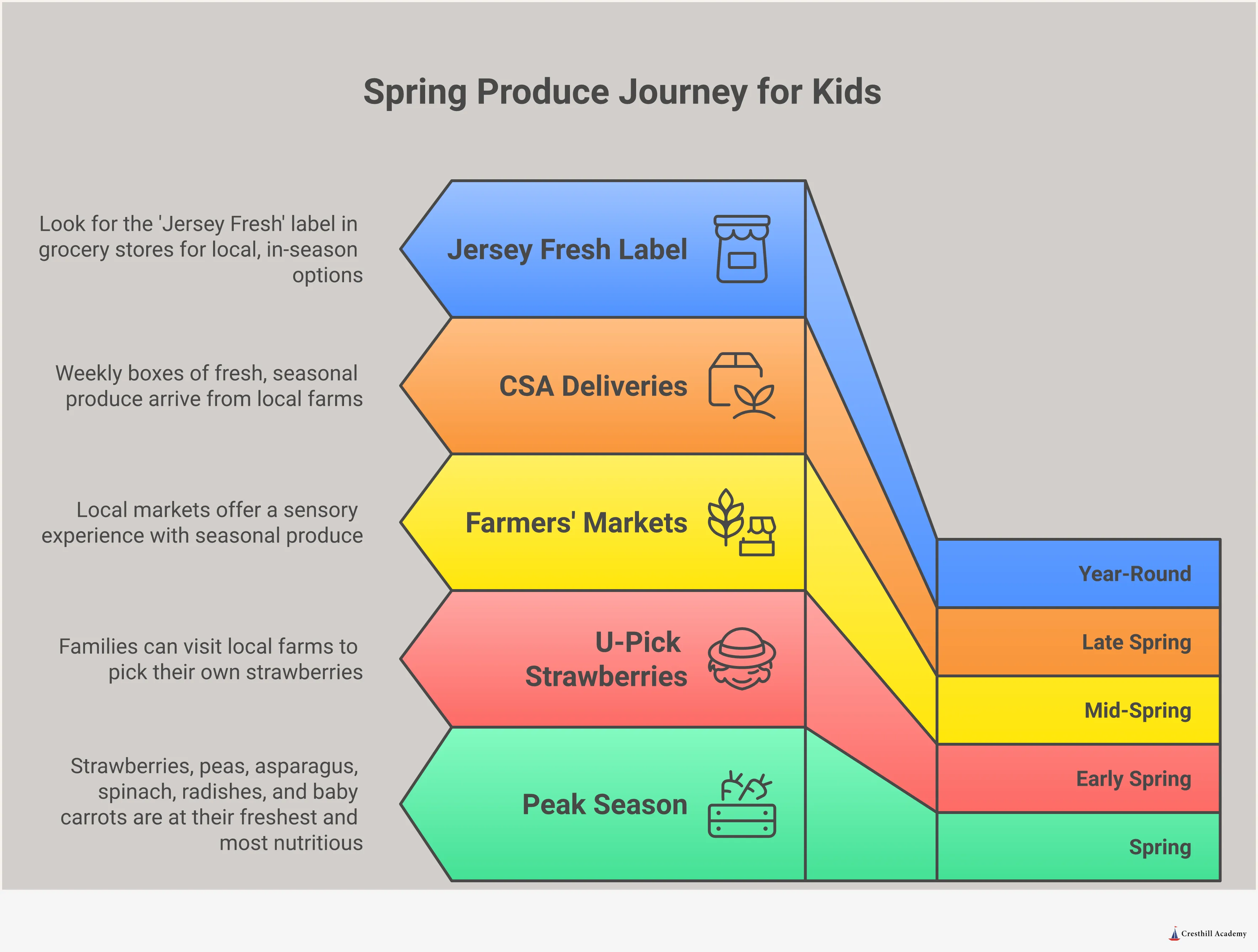 An infographic titled 'Spring Produce Guide: What Kids Will Actually Eat' with five sections covering the best spring fruits and vegetables for young eaters, key nutrients mapped to developmental needs, five low-pressure picky eater strategies, hands-on playful food activities, and where to source fresh spring produce in New Jersey. Includes a call to action to schedule a tour at Cresthill Academy.
