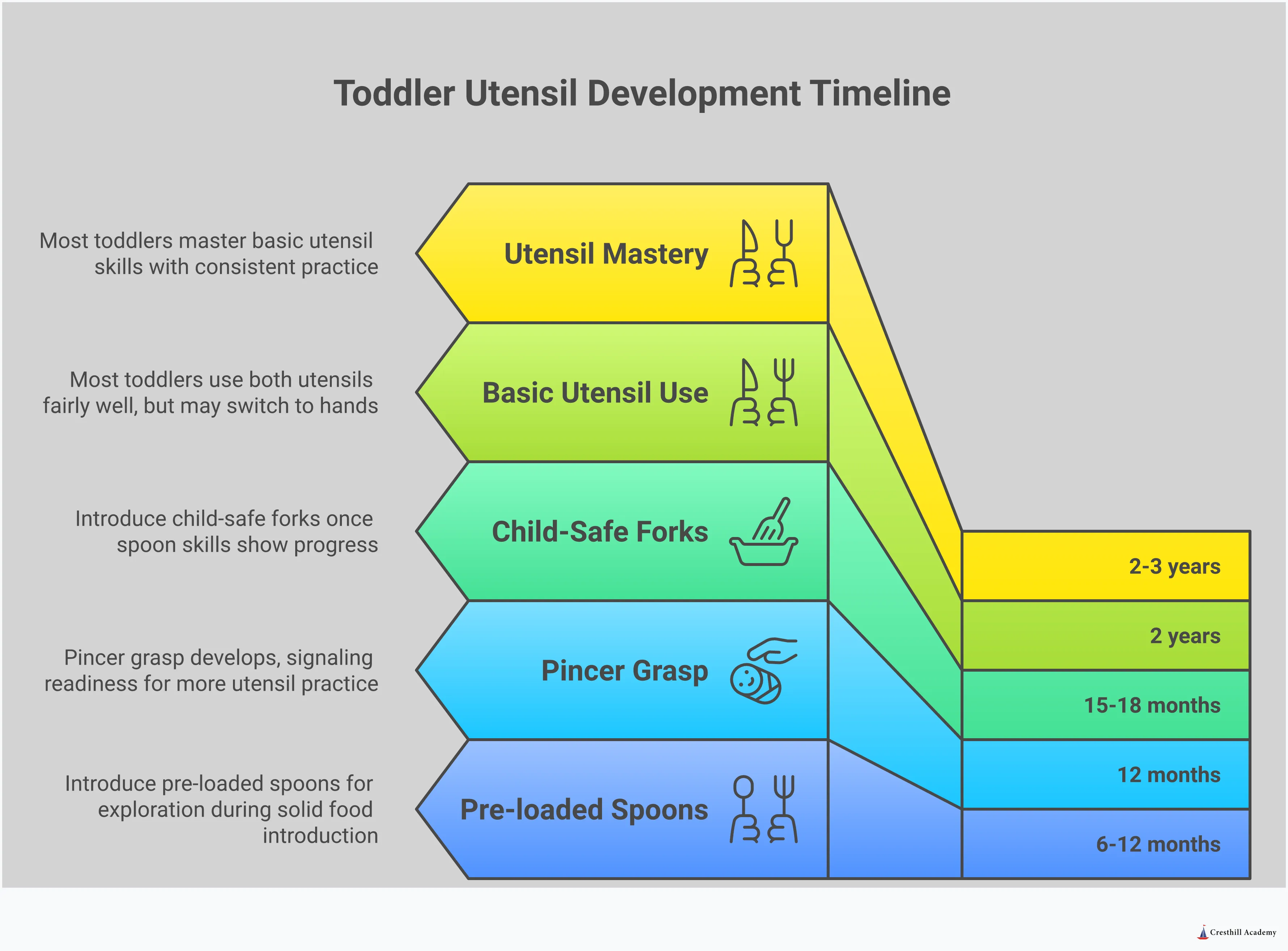 Comprehensive infographic showing toddler utensil learning timeline from 6 months to 3 years, featuring age-appropriate milestones, recommended foods for spoon and fork practice, optimal learning environment setup with child-sized tools, and effective teaching strategies including hand-over-hand guidance and positive reinforcement techniques for parents and caregivers.