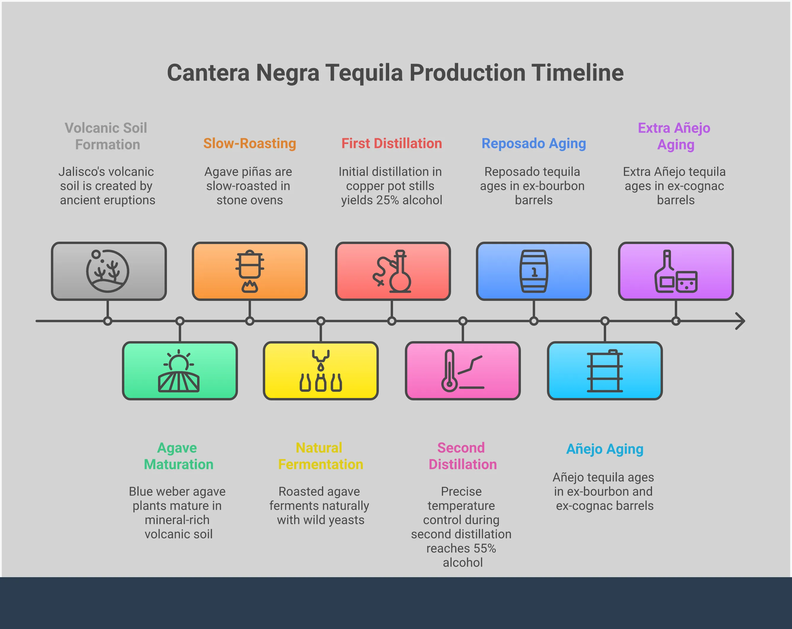 Professional infographic showing Cantera Negra tequila production process from volcanic soil agave cultivation through small-batch distillation to barrel aging, with tasting notes and pairing recommendations for each expression from Silver to Extra Añejo