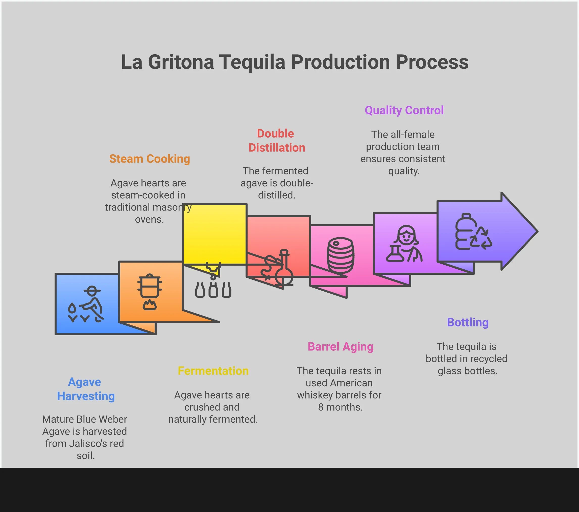 La Gritona Reposado: The Agave-Forward Tequila Revolution Infographic showing La Gritona Reposado tequila production methods, featuring traditional masonry ovens, used whiskey barrels, all-female production team, and additive-free philosophy. Visual elements include agave plants, barrel cross-sections, and production timeline graphics in professional earth tones reflecting the highland Jalisco terroir.