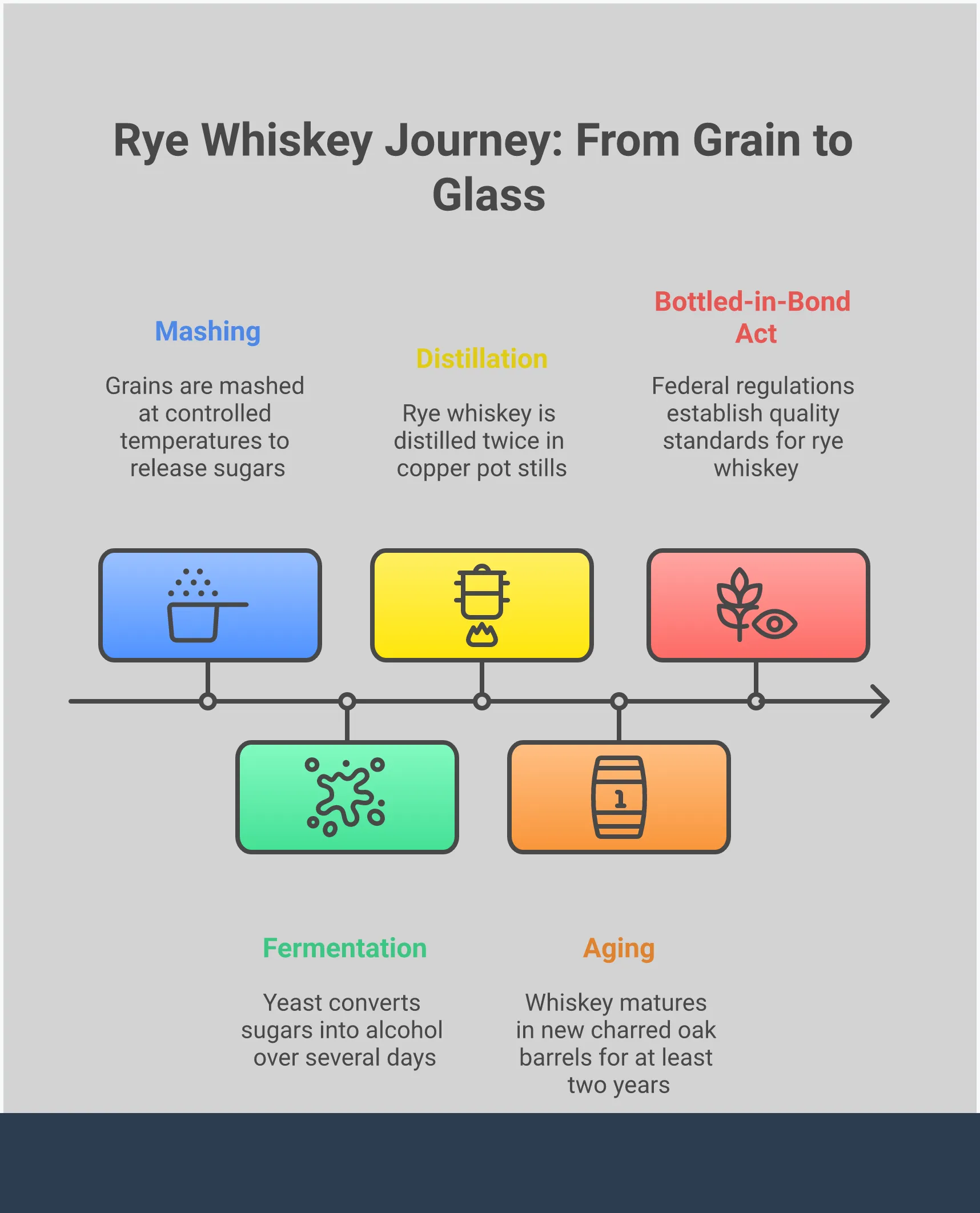 Comprehensive rye whiskey guide infographic showing mash bill percentages, professional tasting steps with proper glassware, classic cocktail recipes with exact measurements, and label reading tips for quality selection. Features visual elements including grain illustrations, tasting glass diagrams, cocktail preparation steps, and bottle label examples to help readers understand rye whiskey production, appreciation, and selection.