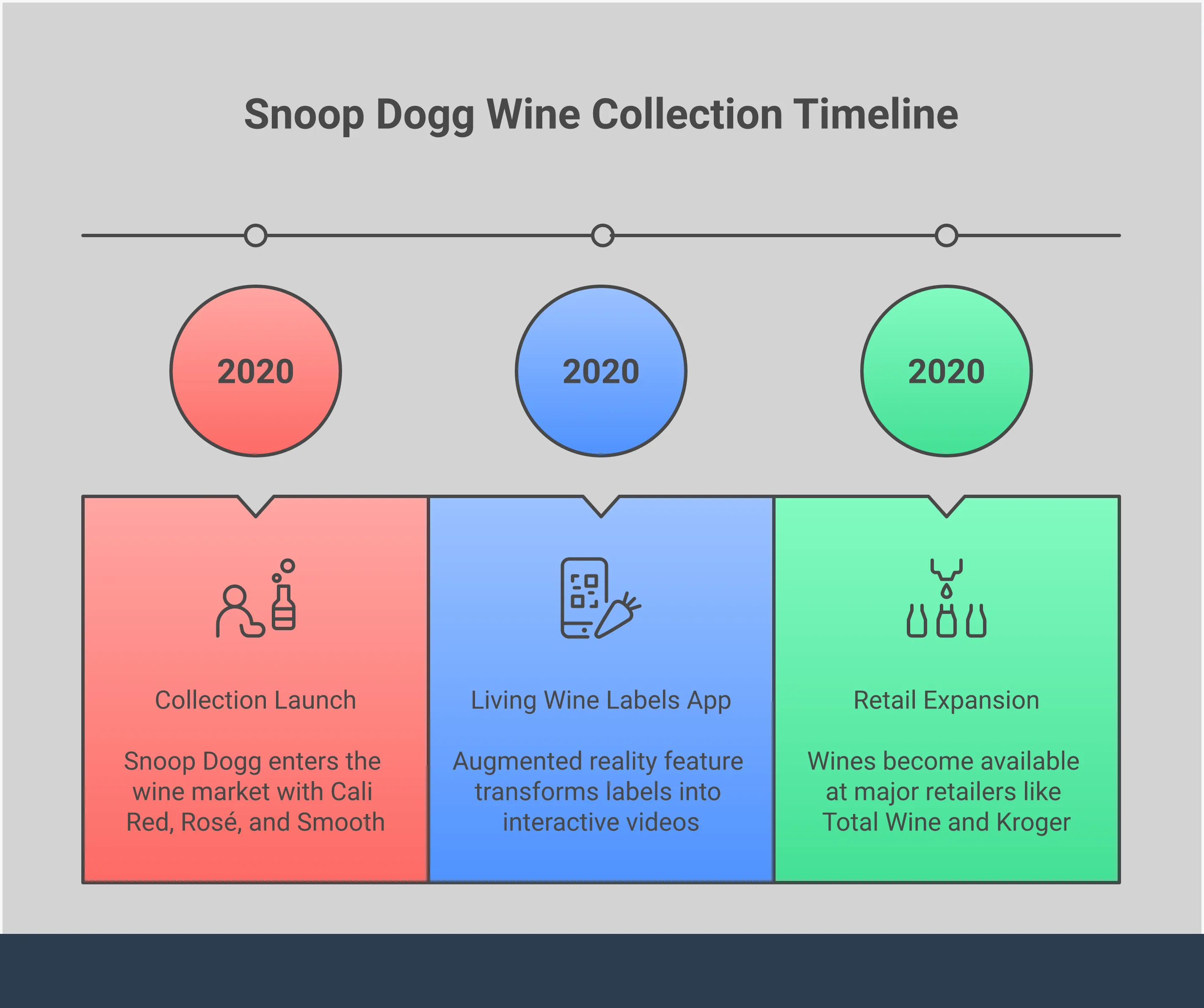Comprehensive infographic guide to Snoop Dogg's 19 Crimes wine collection featuring flavor profiles, food pairings, interactive label technology, and value assessment for each bottle in the lineup