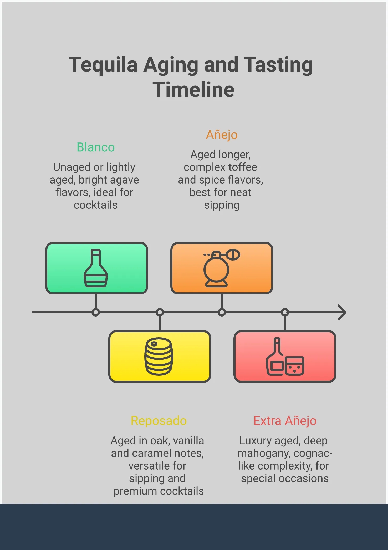 Professional infographic showing tequila selection guide with four main sections: label decoding tips highlighting NOM numbers and 100% agave requirements, tequila type matching chart from Blanco to Extra Añejo, proper tasting techniques with glassware illustrations, and regional terroir map showing Highland vs Lowland agave growing regions in Mexico. Clean layout with agave plant imagery and color-coded aging classifications.